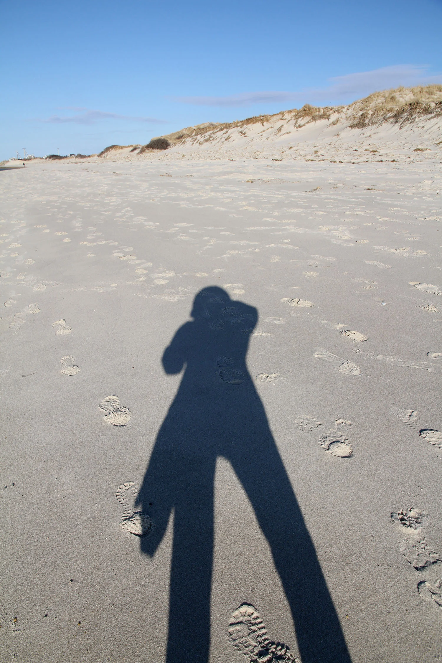 IMG_1120 kl shadow on beach 3 web.jpg