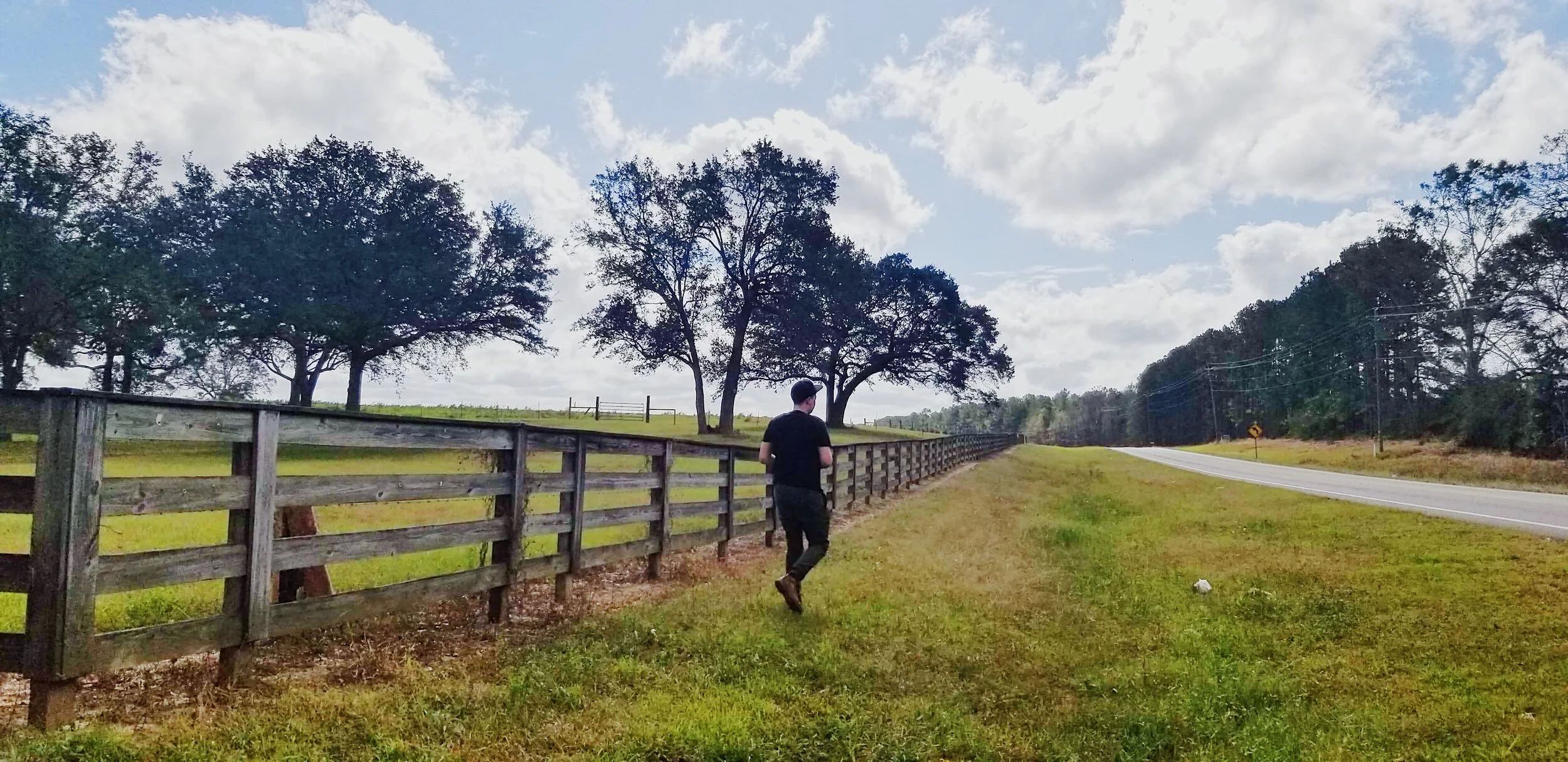 one year on testosterone 