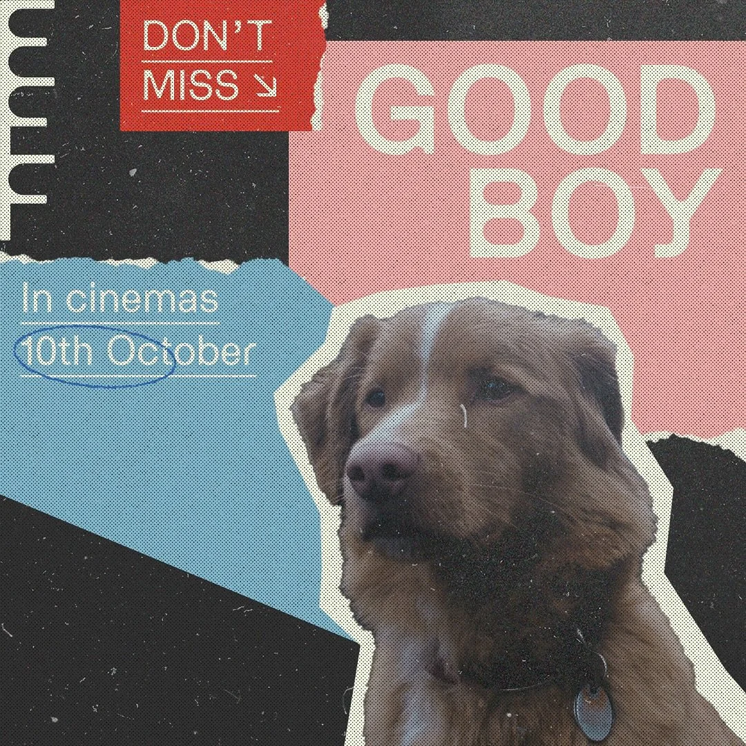 DON&rsquo;T MISS: GOOD BOY 🐕

Horror is crowning a new final&hellip;dog in the directorial debut of Ben Leonberg.

Starring Indy as Todd&rsquo;s loyal companion, Good Boy is the first horror film to put a dog front and center, delivering a performan