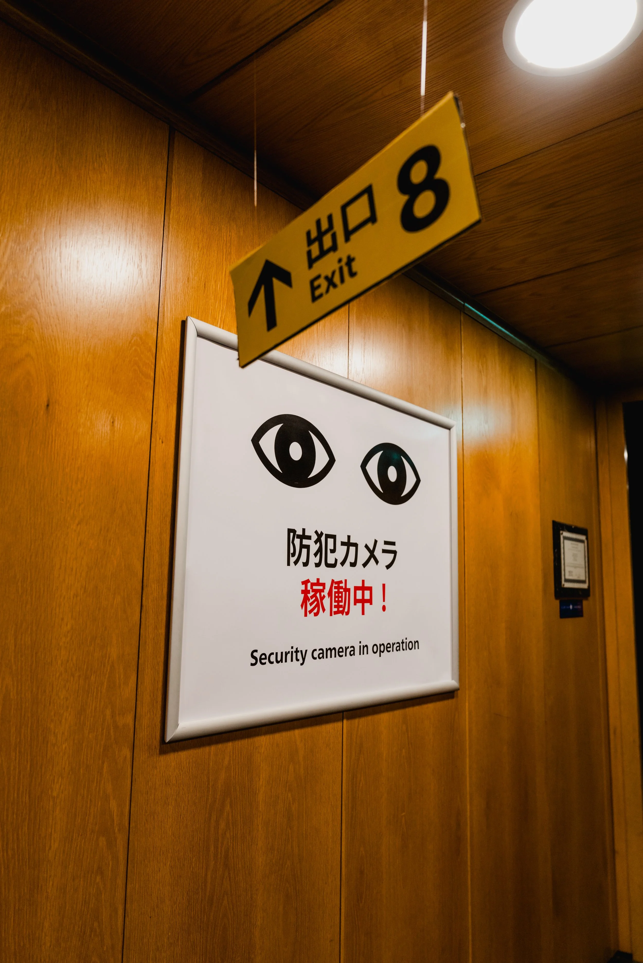 Exit 8 FACT Liverpool 14th April 26 Photo-13.jpg