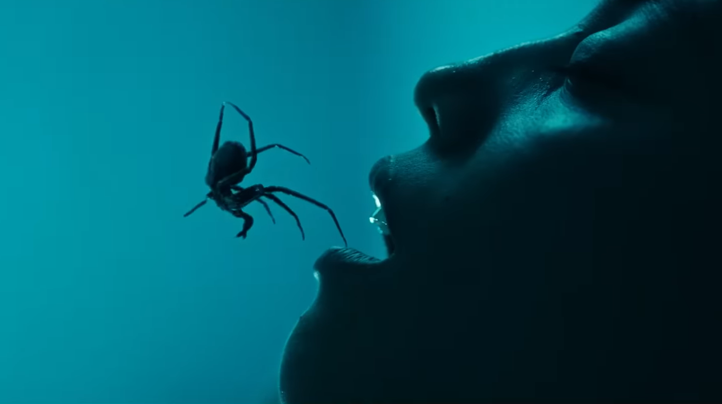 Crawlers