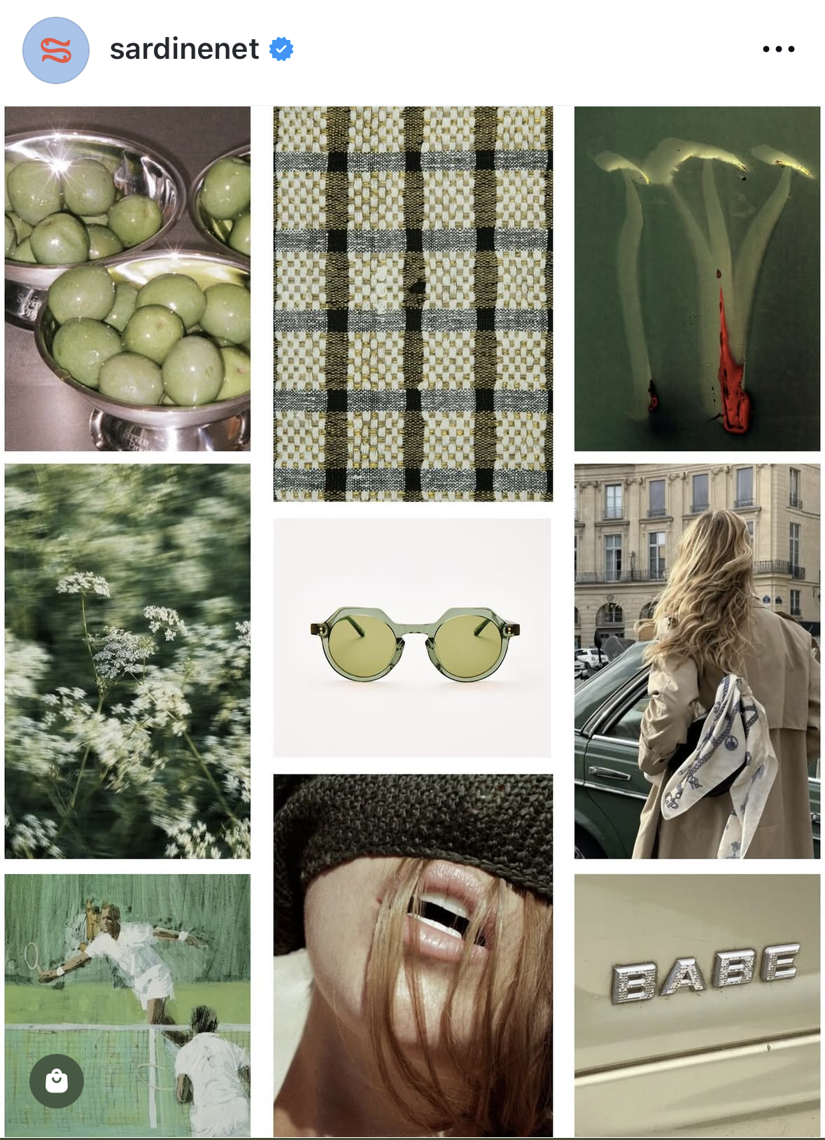 IMG_9818.PNG