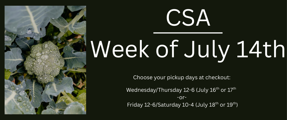 CSA Week 6-2.png