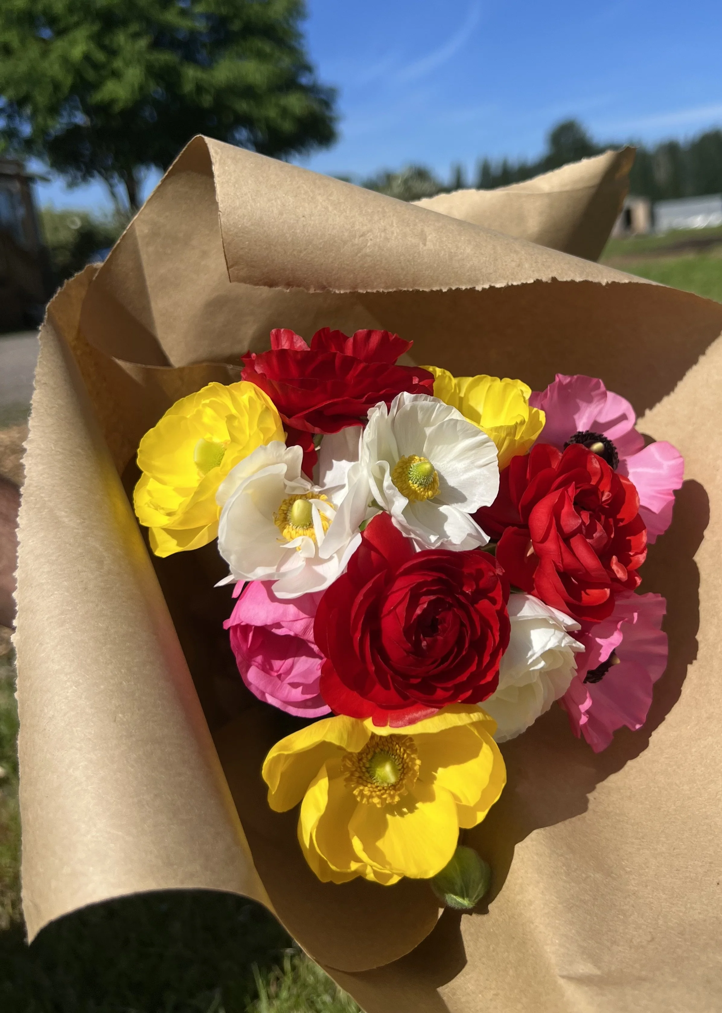 Spring Bouquet Subscription: 4 Weeks of Blooms