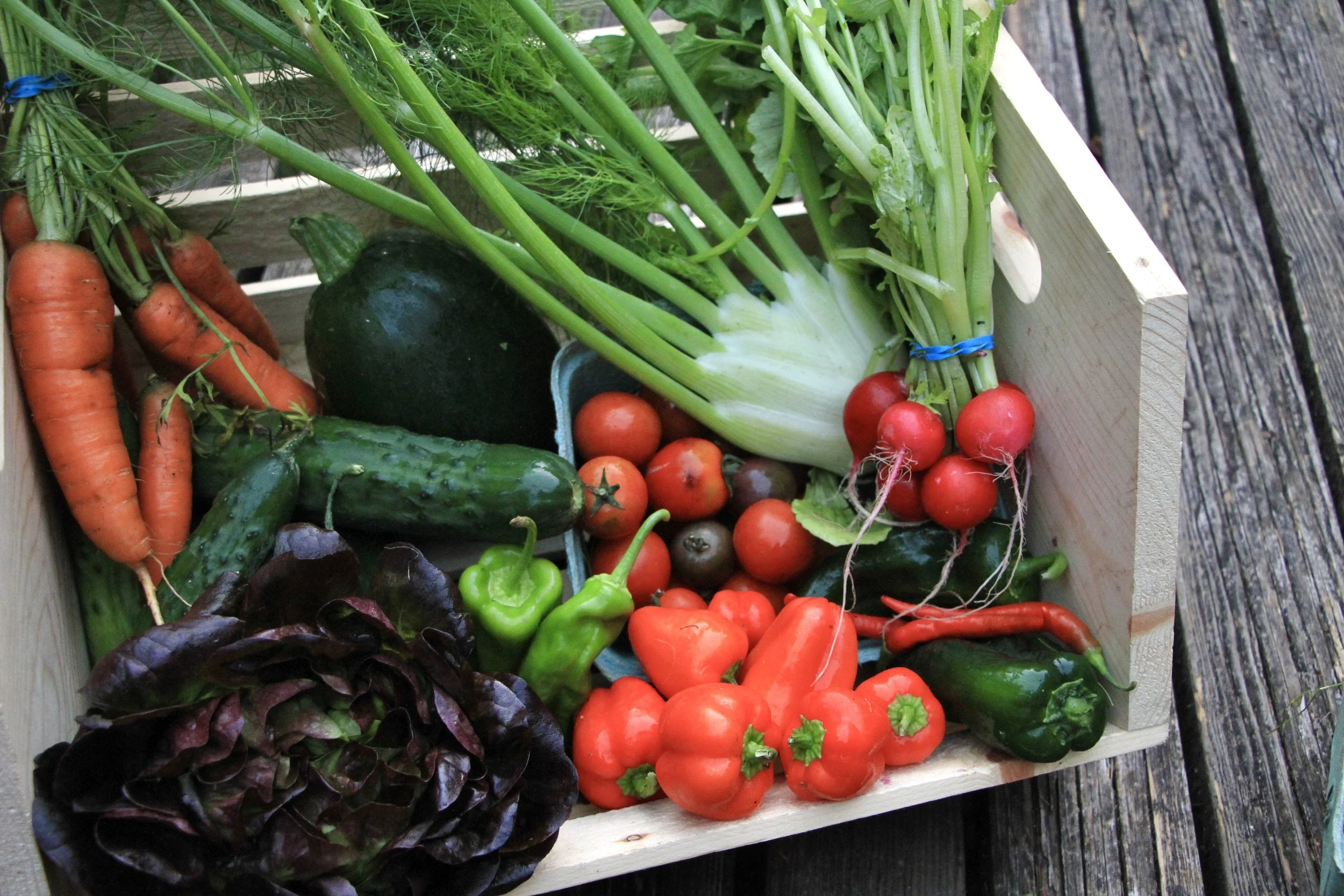 2nd Half of Summer Share: 5 Weeks (Flex)