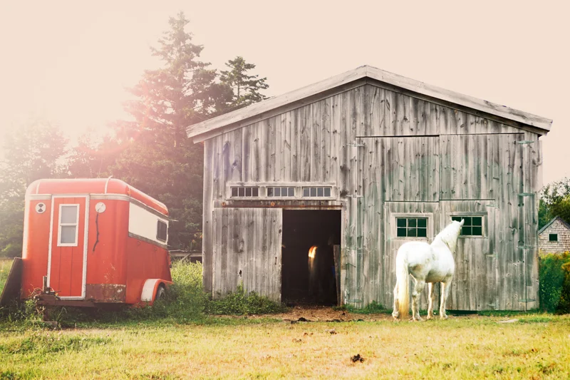 LauraDossPhotography-62.jpg