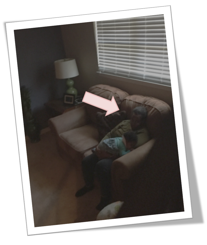 Picture1.png