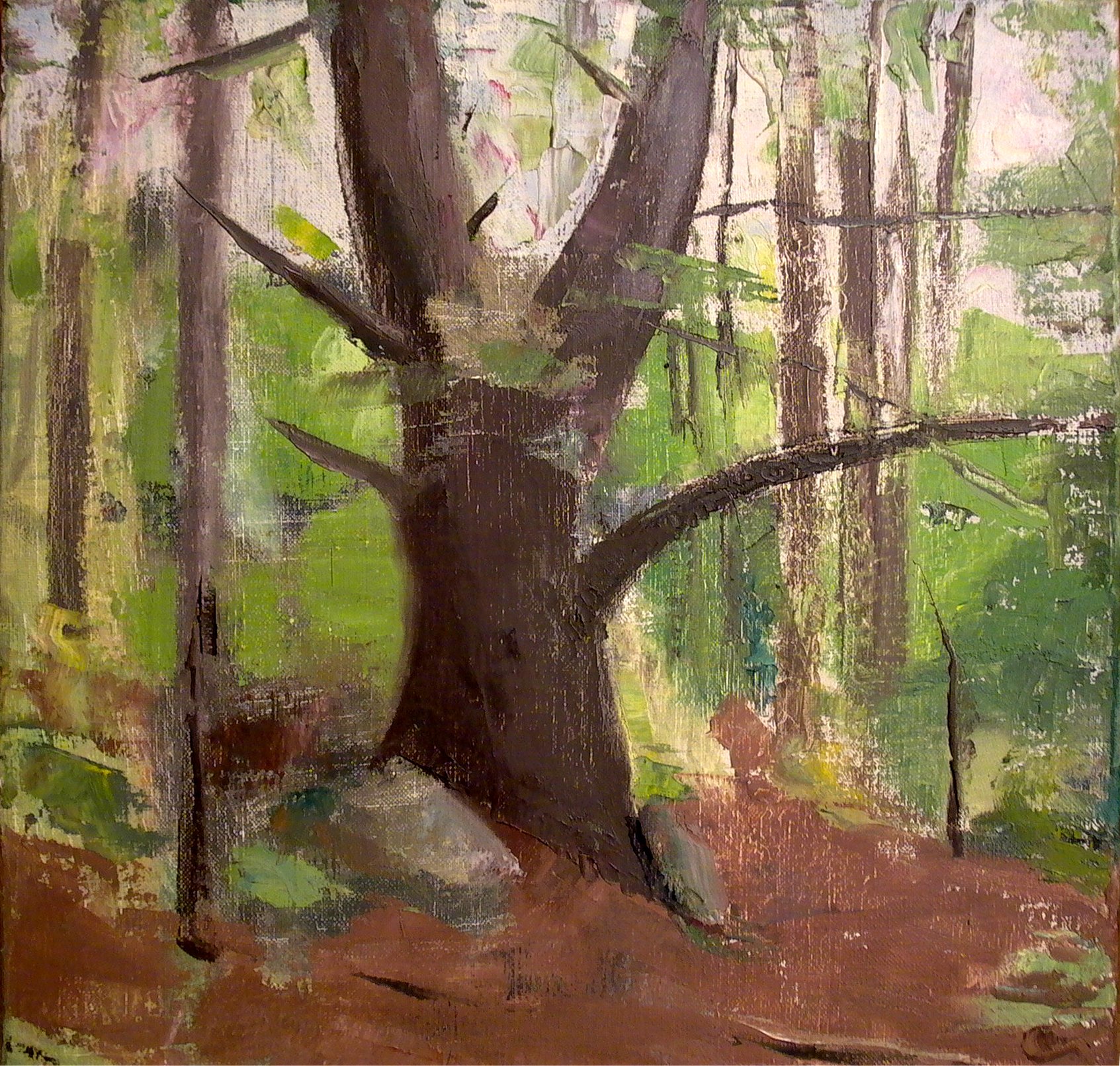 Pine Tree Trunk, 14" x 14", oil on linen, 1998.