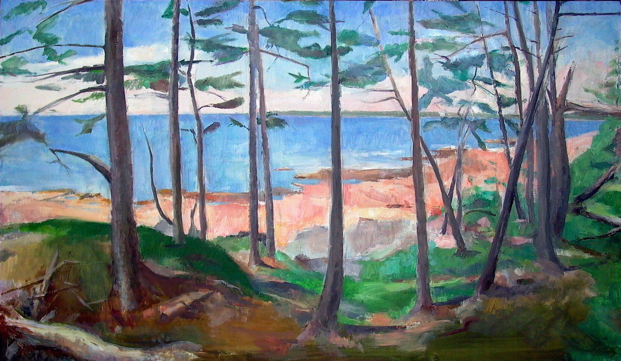 Great Cranberry Island, 28 x 48 inches, oil on linen, 2007.