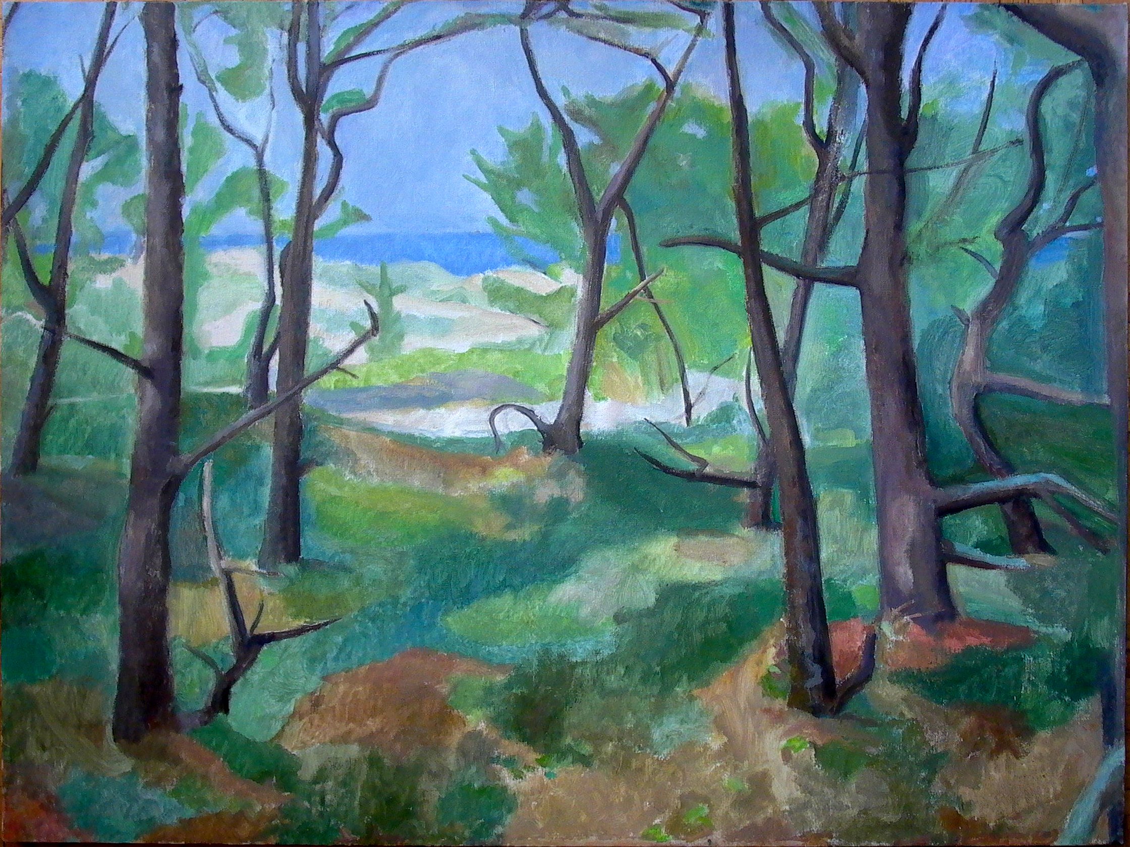 Stunted Pines, Cape Cod, MA, 26 x 34 inches, oil on linen, 2004