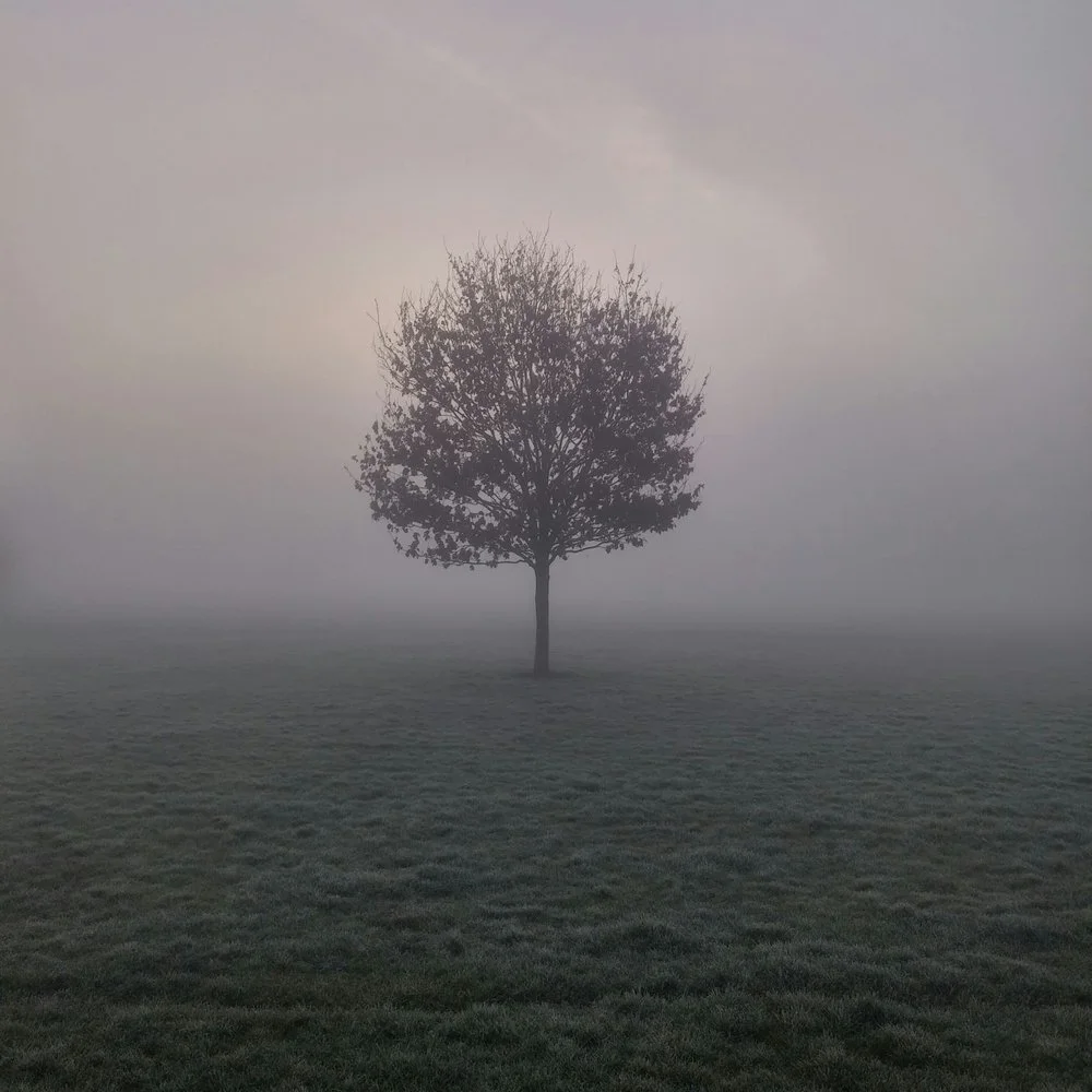 Landscape Editions Volume Thirteen | Mark Littlejohn \, image size:1000x1000