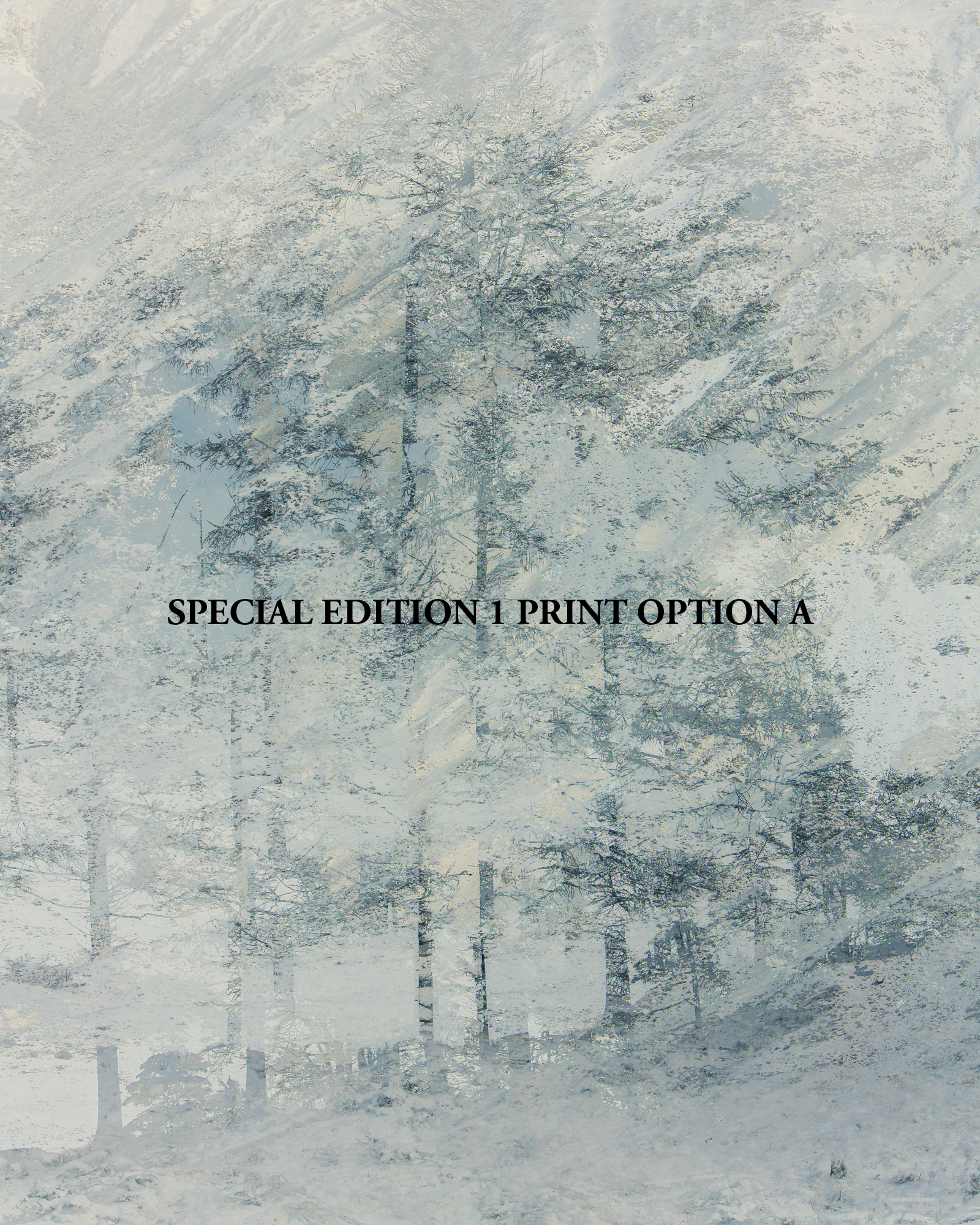 SPECIAL EDITION 1 PRINT A
