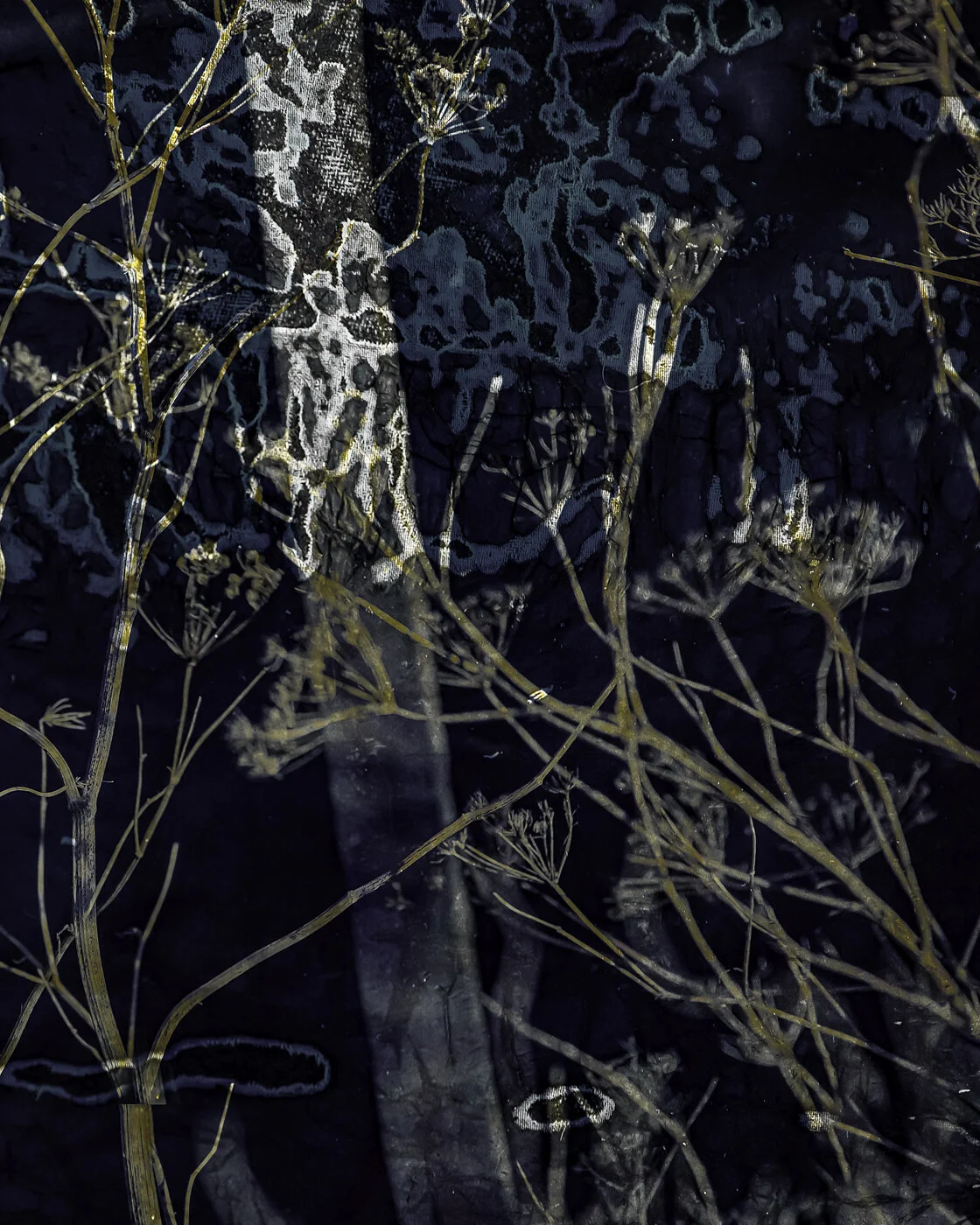 20181101-20181101-_X2A6944-Edit.jpg