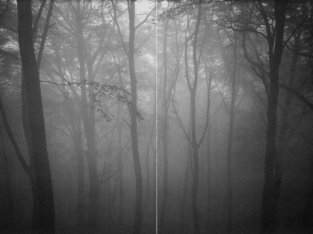 WEB-25.jpg