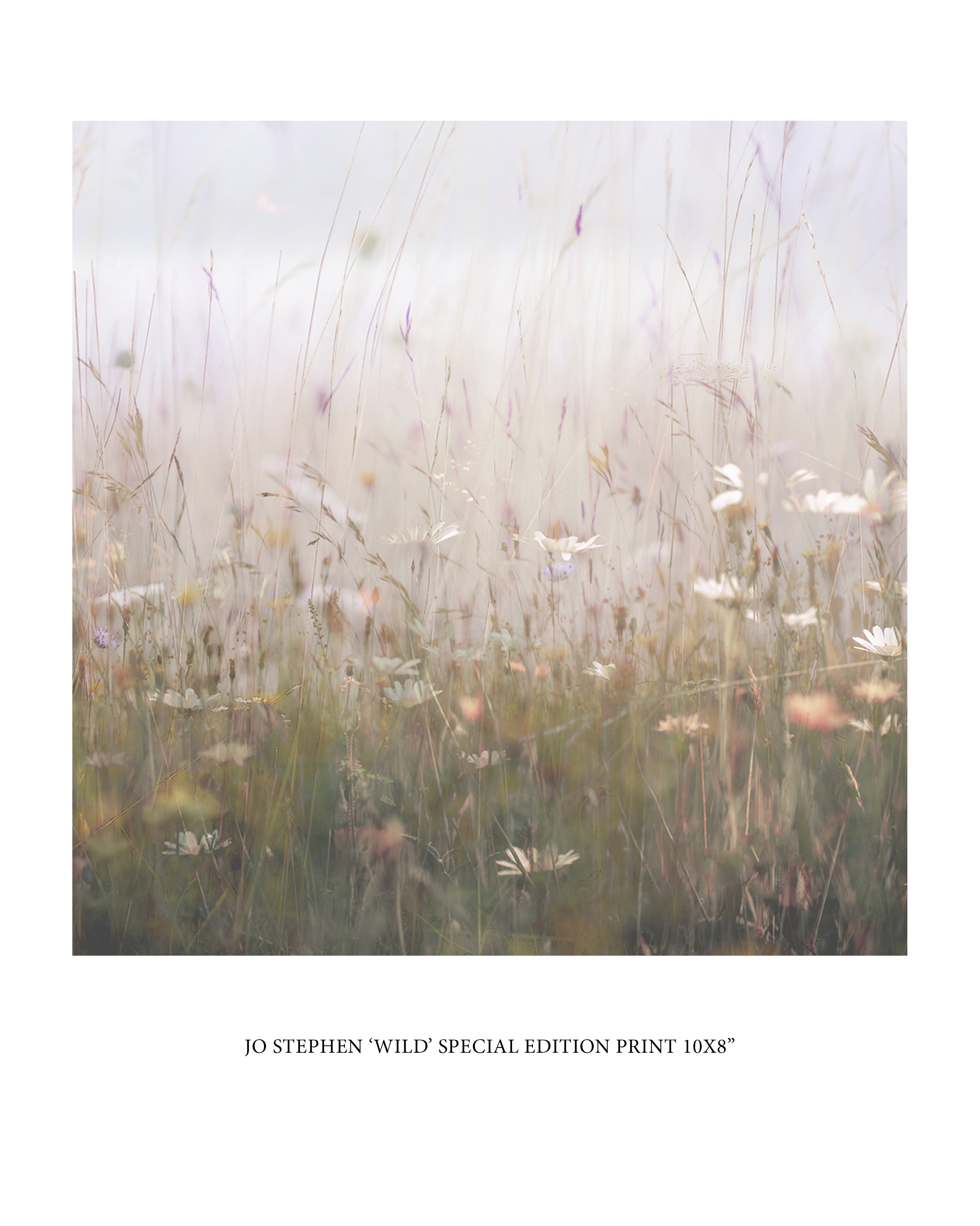Jo Stephen Special Edition Print lo res.jpg