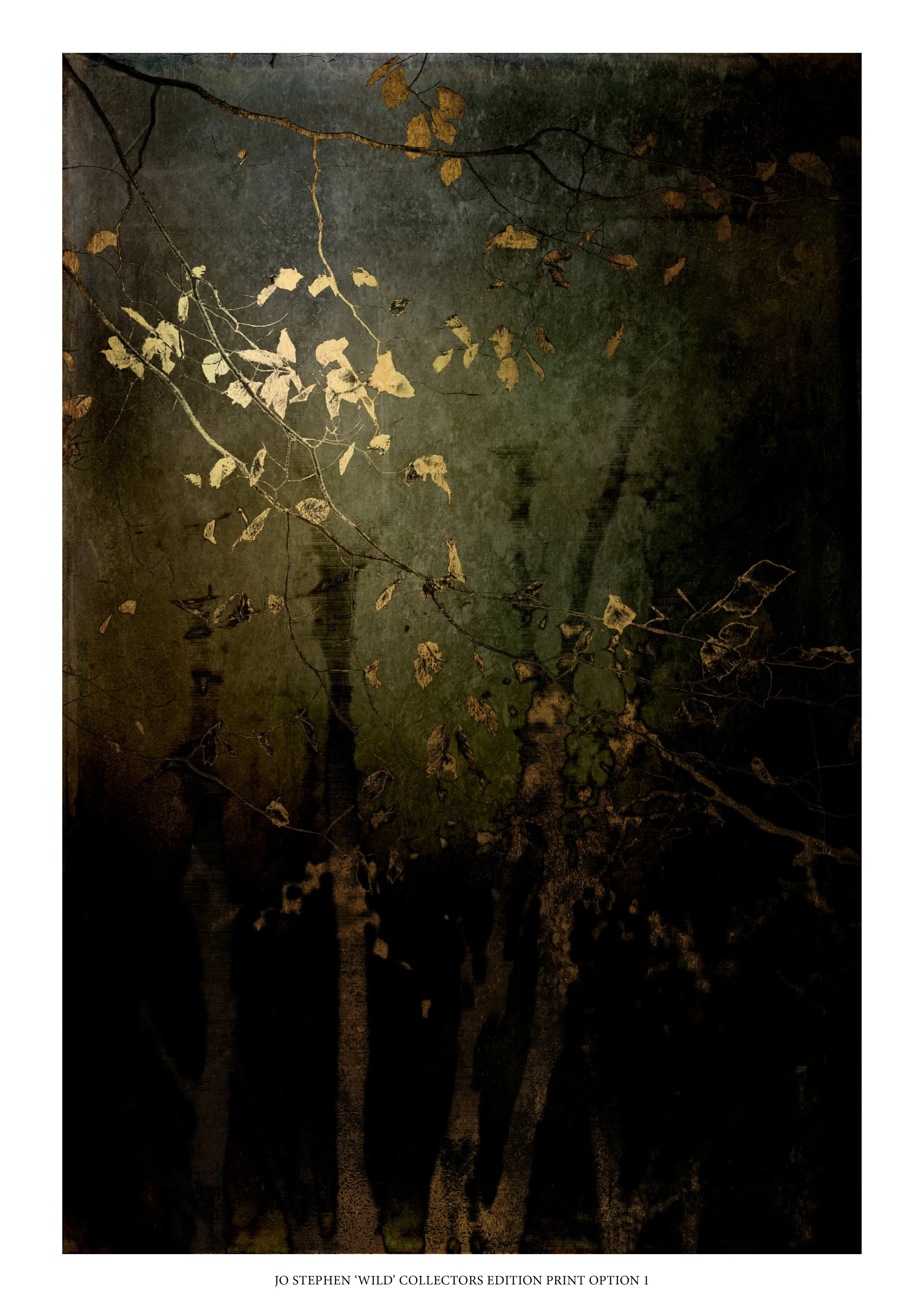 Jo Stephen Collectors Edition Print v1 HI RES.jpg