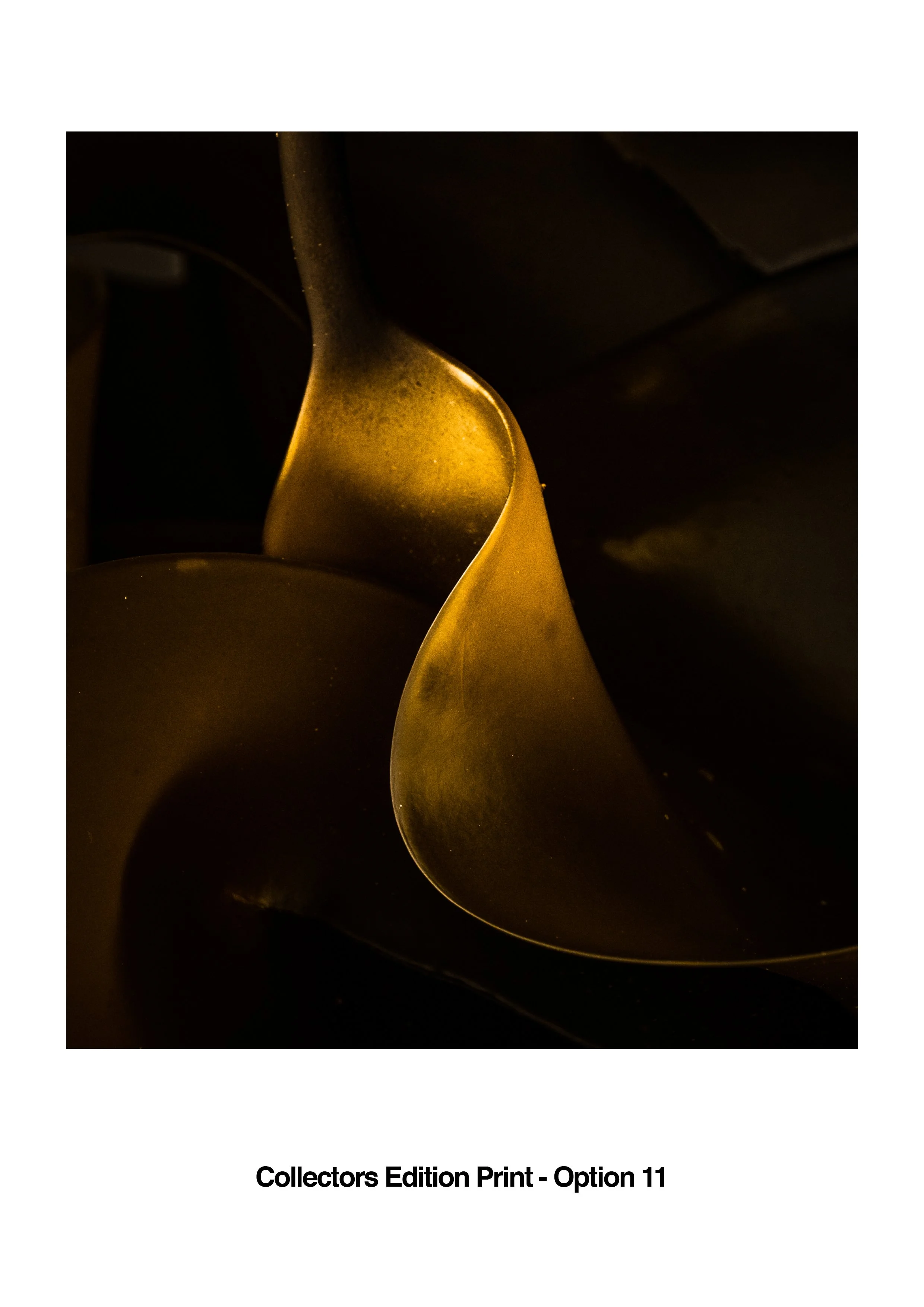 Mark Littlejohn Collectors Edition Print v1 WEB.jpg