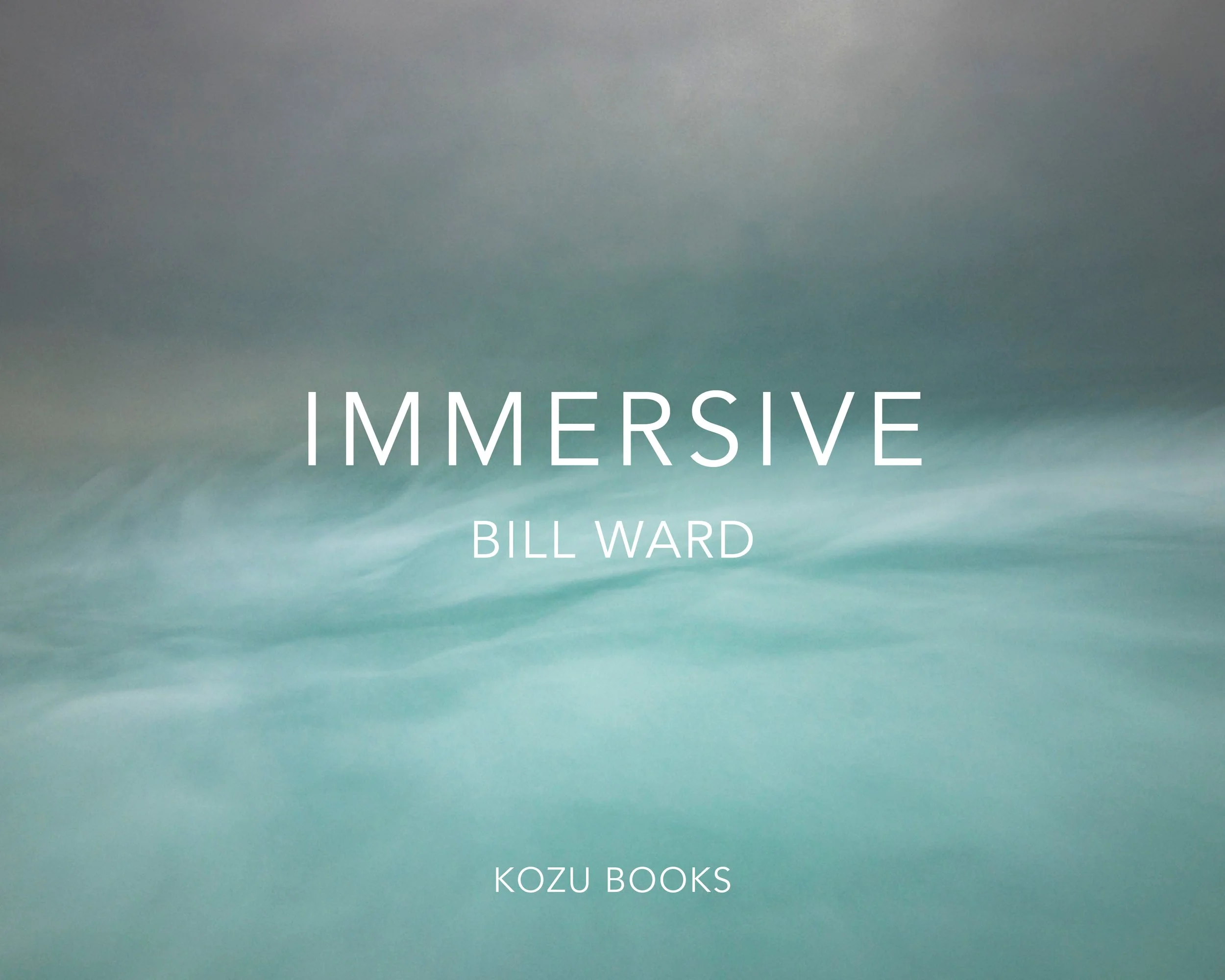 Immersive Final Cover.jpg