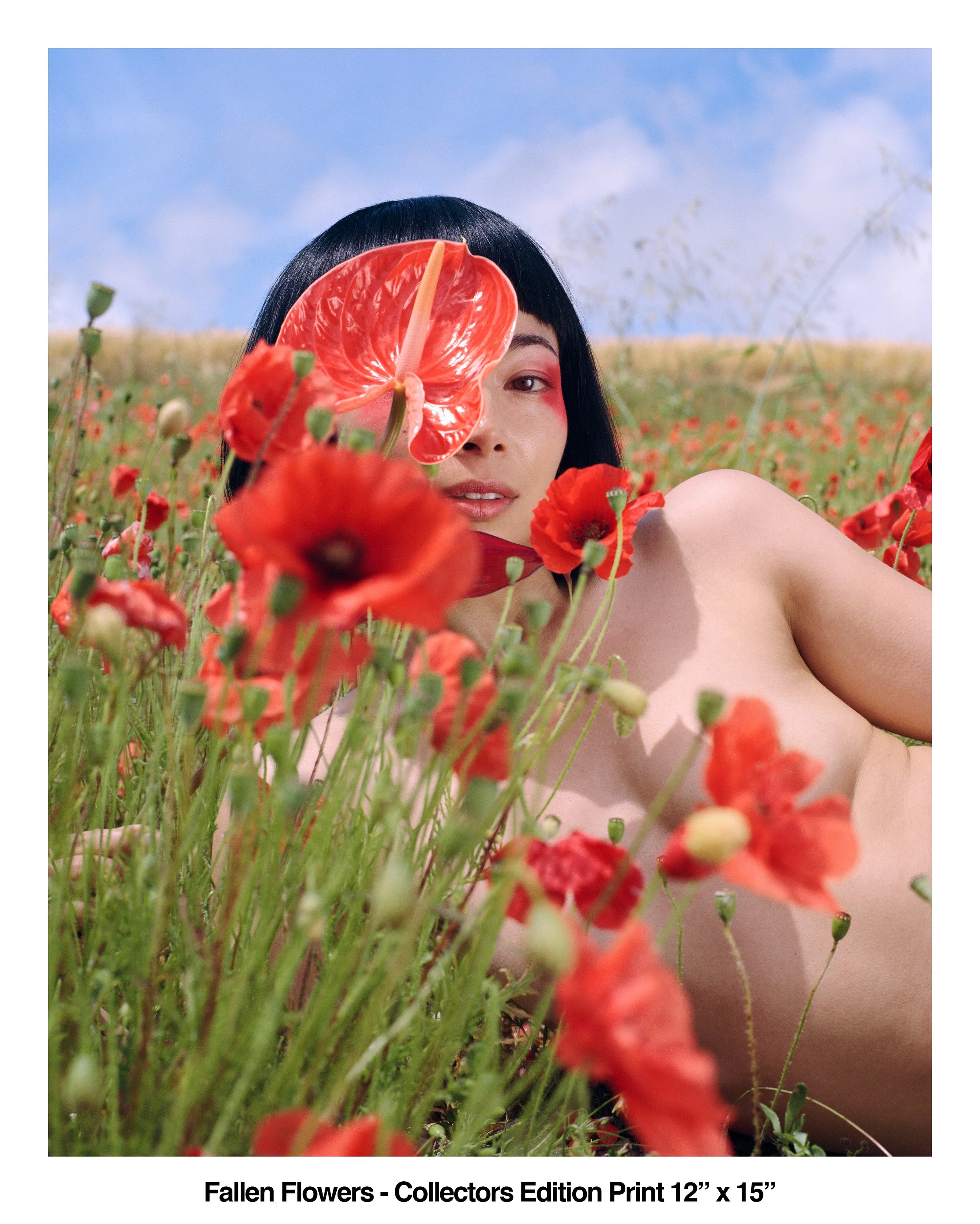 Fallen Flowers Colllectors Edition Print 12 x 15.jpg