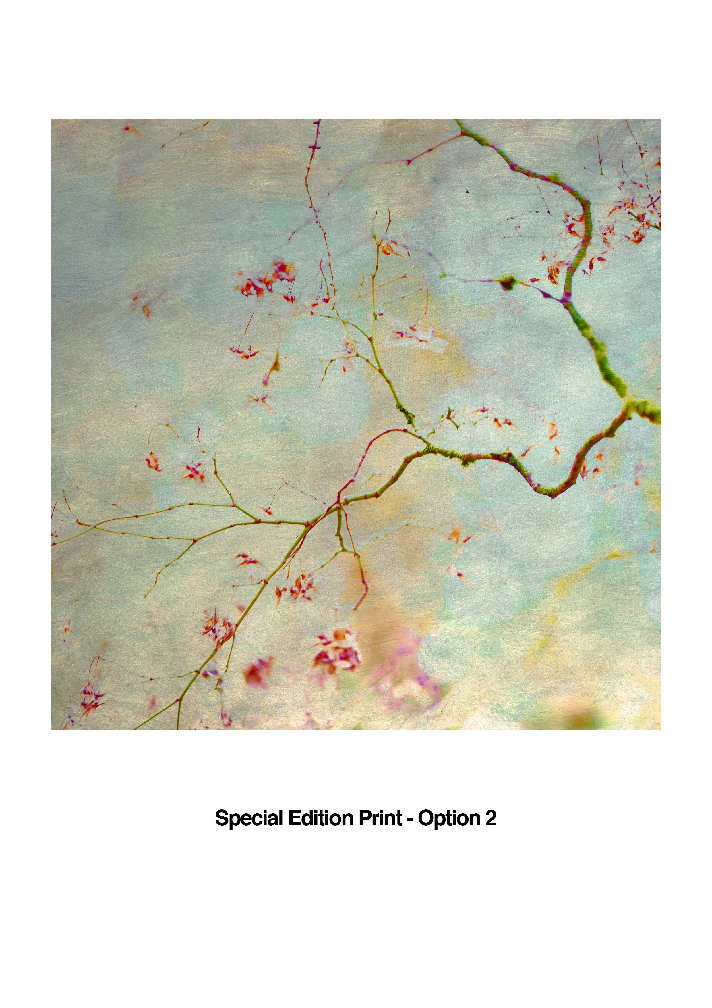 STILLNESS. IN MOTION. By Sally Mason — Kozu Books