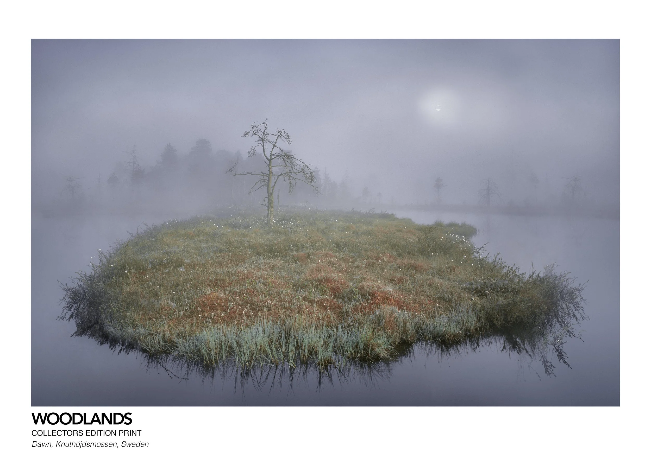 Hans Strand Woodlands Collectors Edition Print WEB.jpg