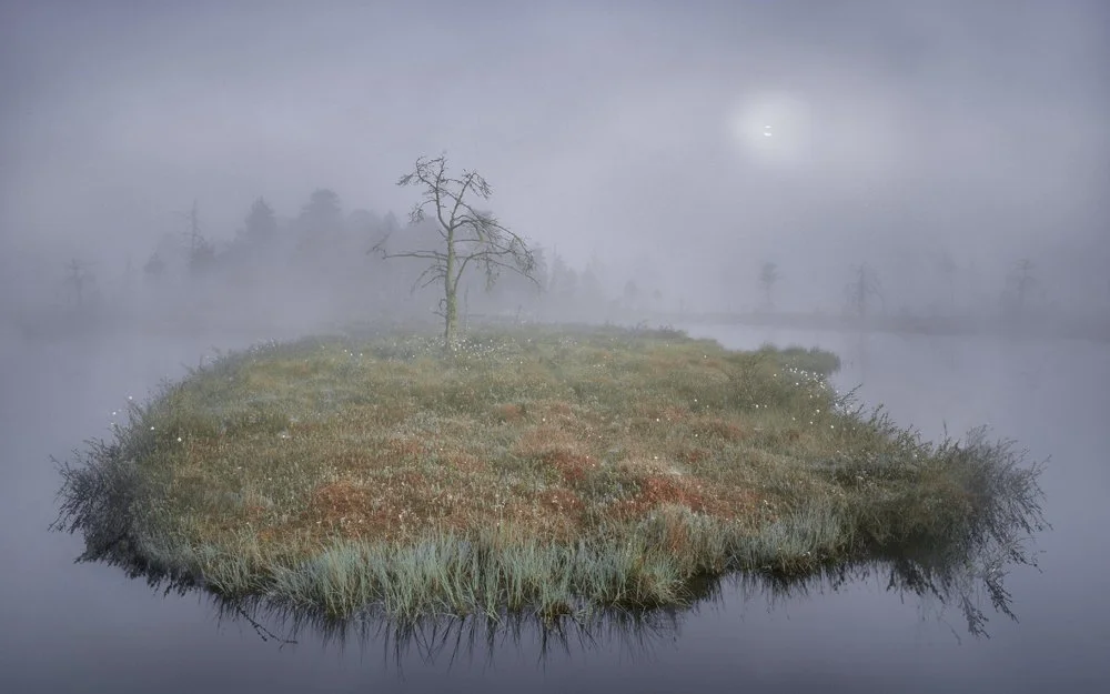 35ab.. Dawn, Knuthöjdsmossen, Sweden 1995.jpg