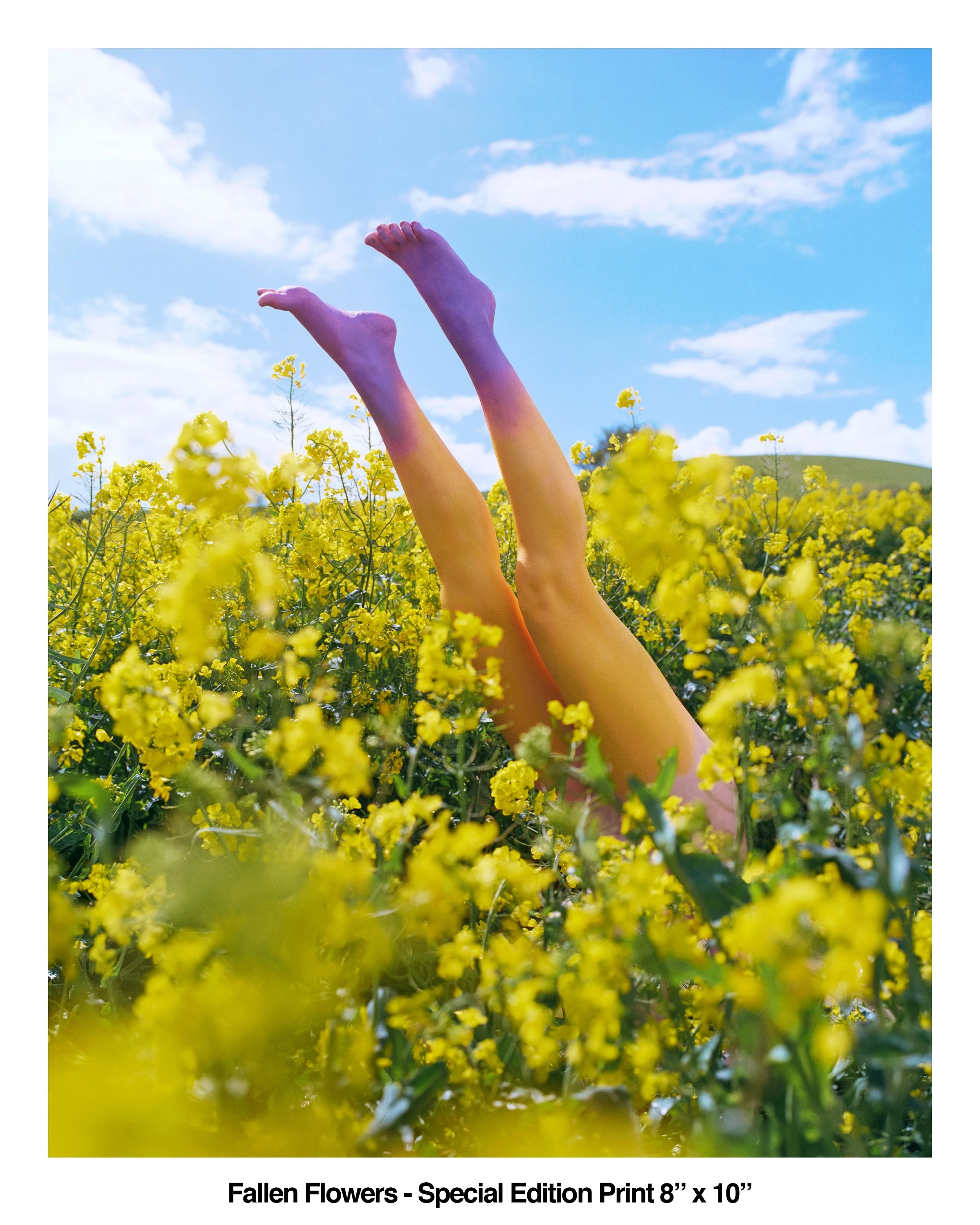 Fallen Flowers Special Edition Print 8 x 10 WEB.jpg