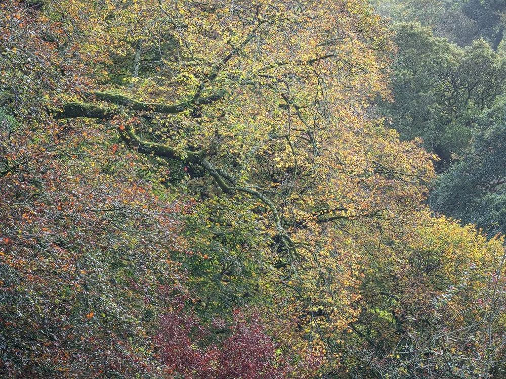 _1001041-p-Kopie-1000.jpg