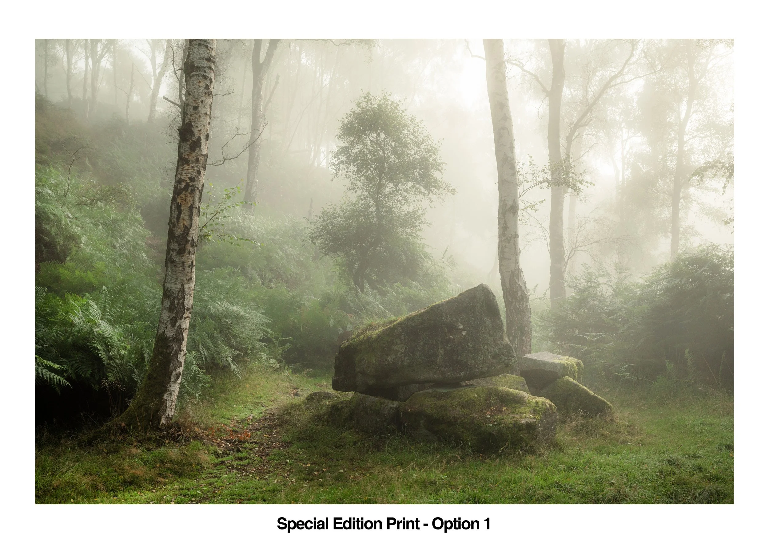 Matt Oliver Special Edition Print v1 WEB.jpg