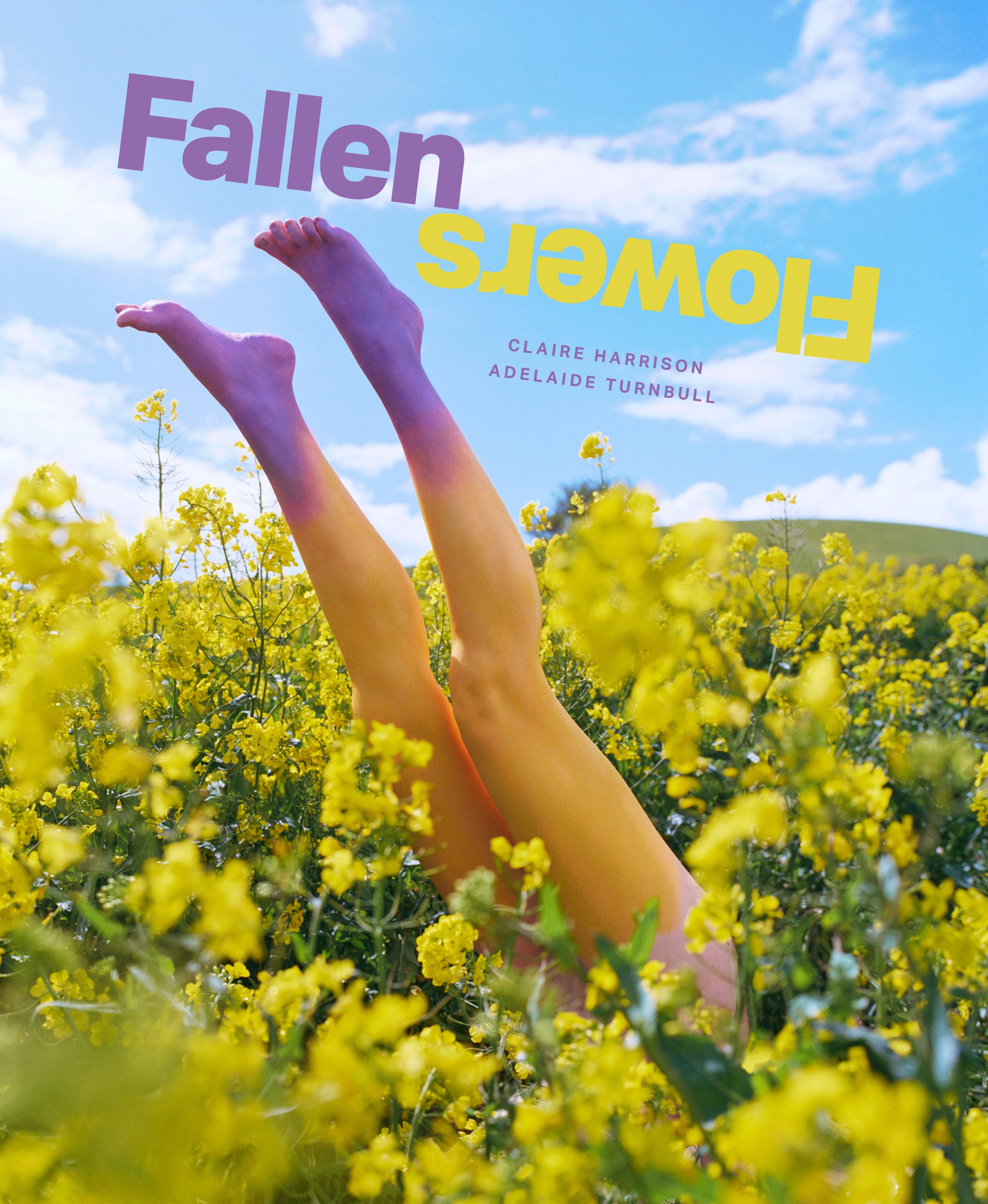Fallen Flowers book cover.jpg