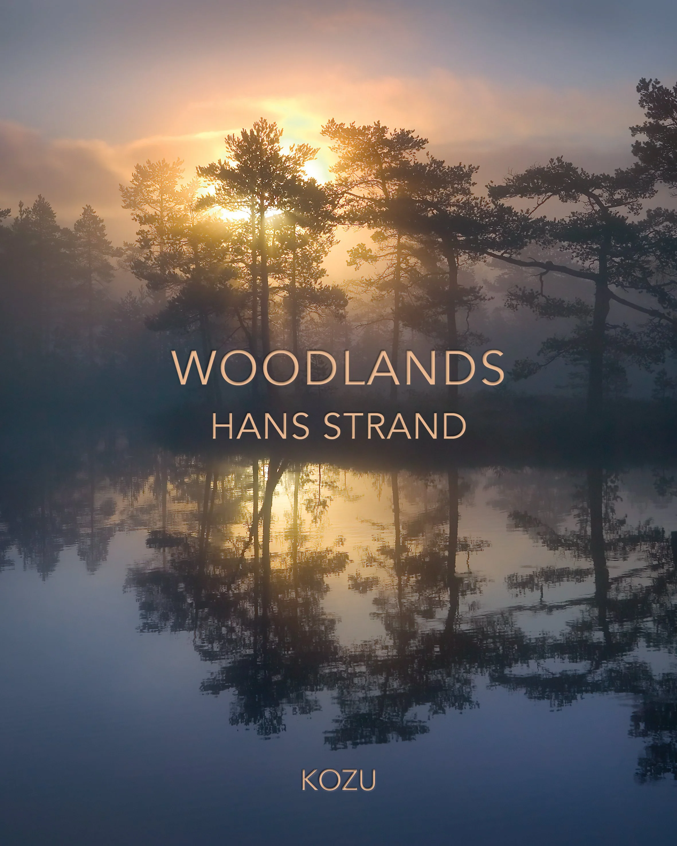 Hans Strand Woodlands Cover v13 WEB.jpg