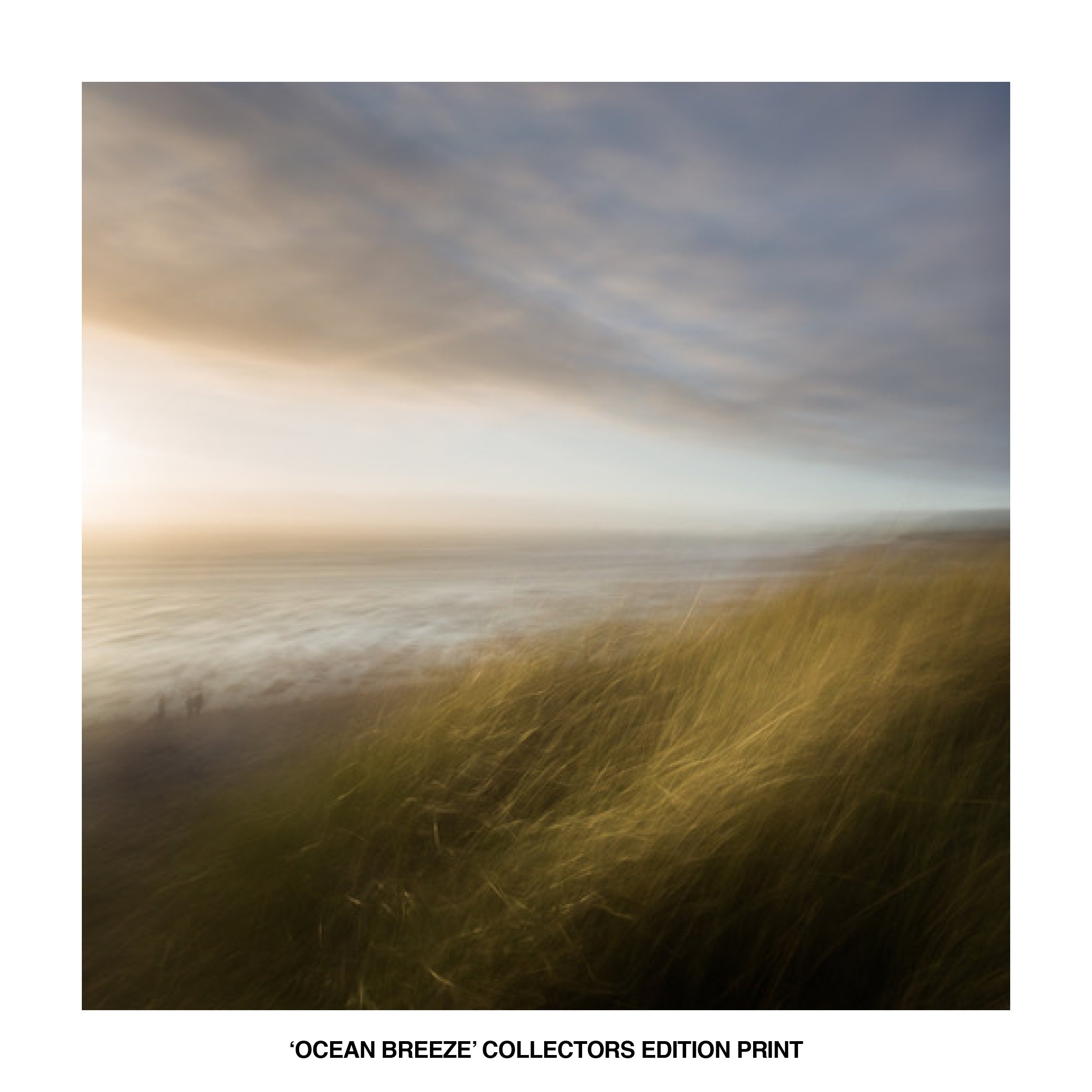 Collectors Edition Print v2.jpg