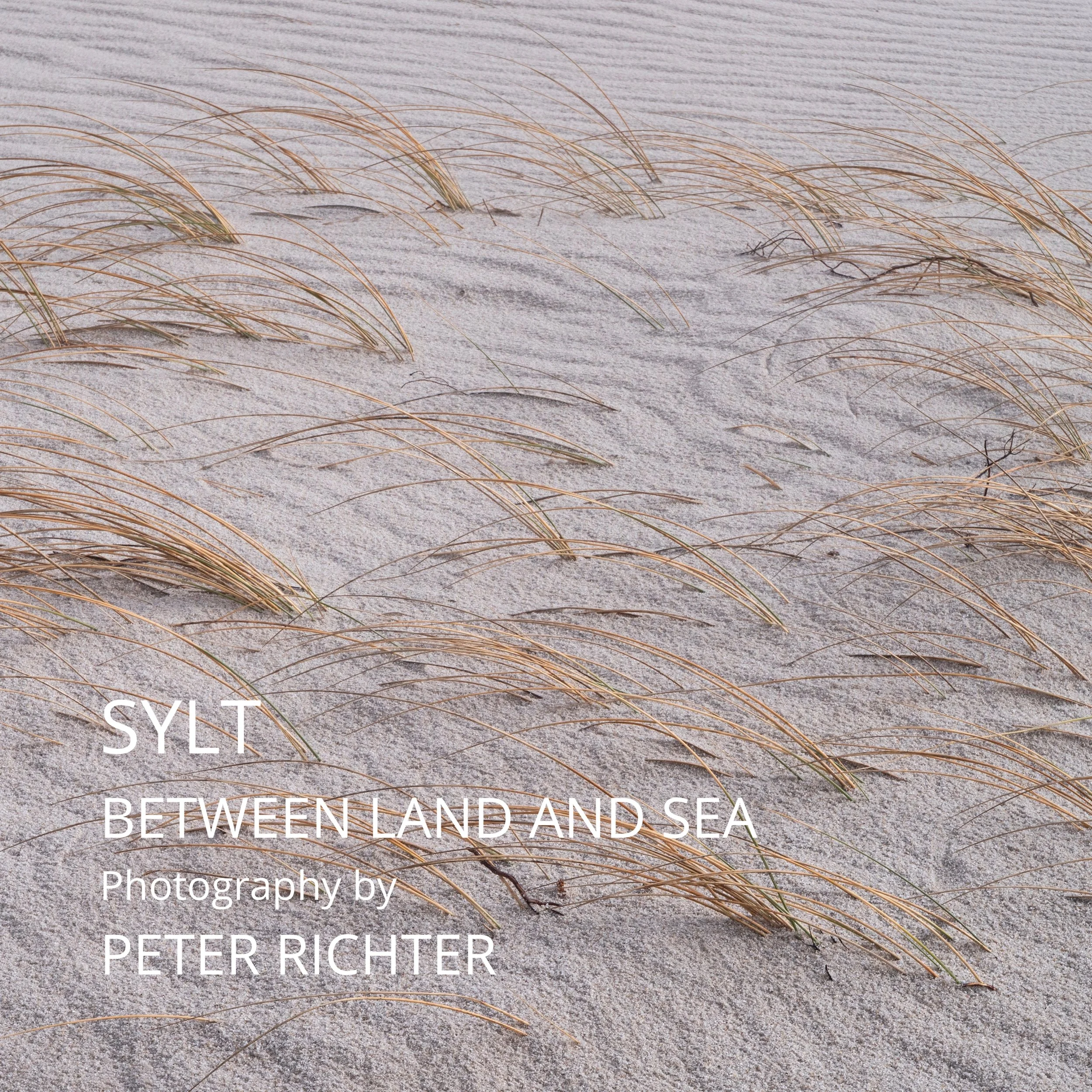 Peter Richter Front Cover REDUCED.jpg