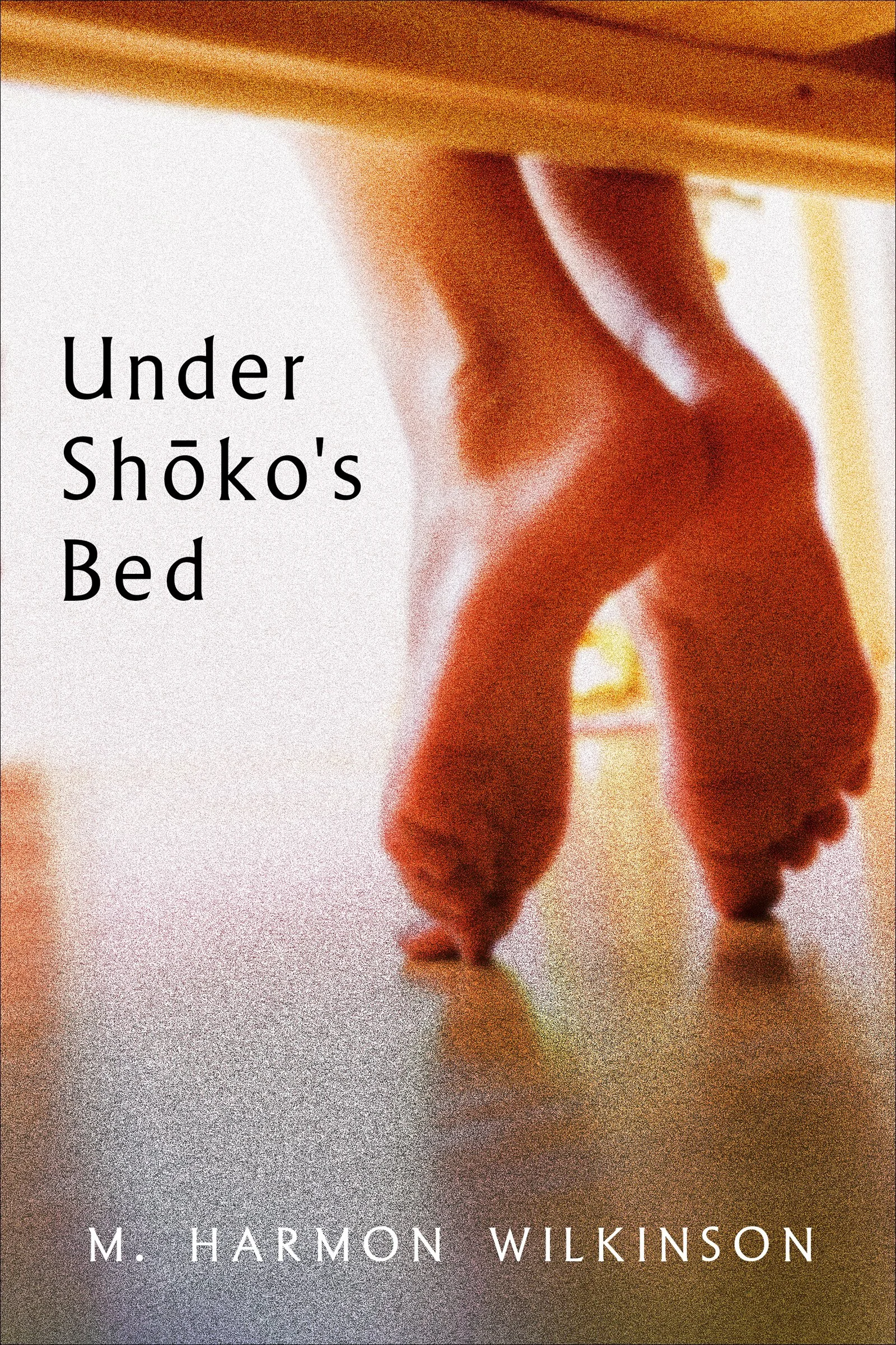 UnderShokoBed_eBook.jpg