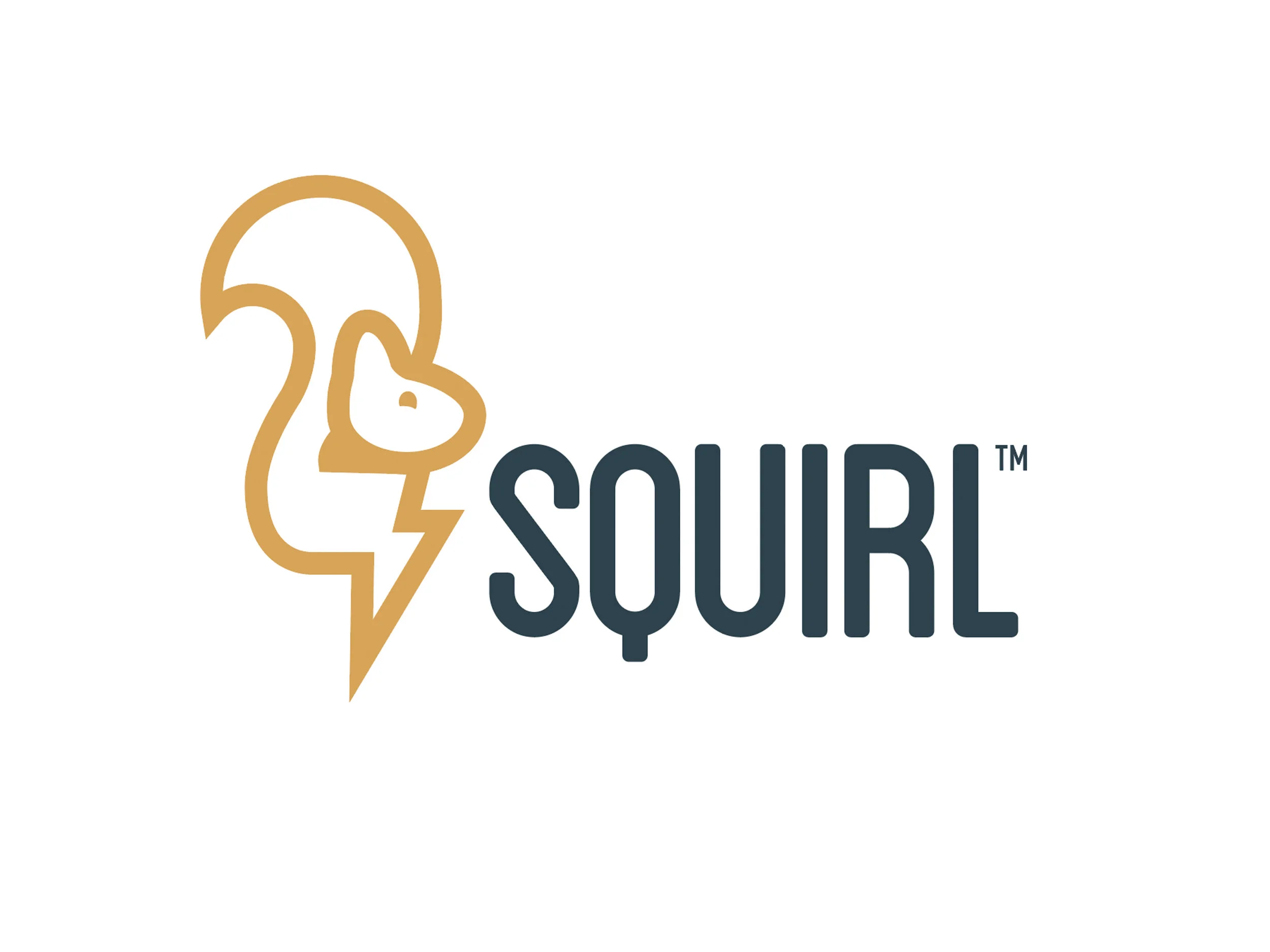 Whoville Squirl Logo.jpg