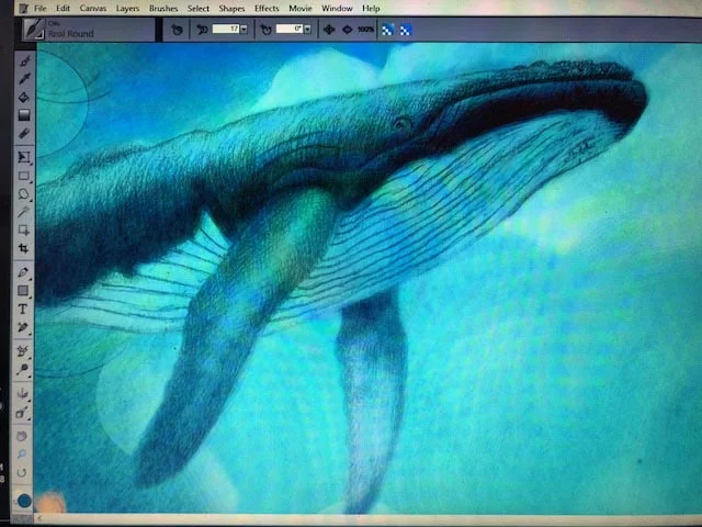 humpback.jpg