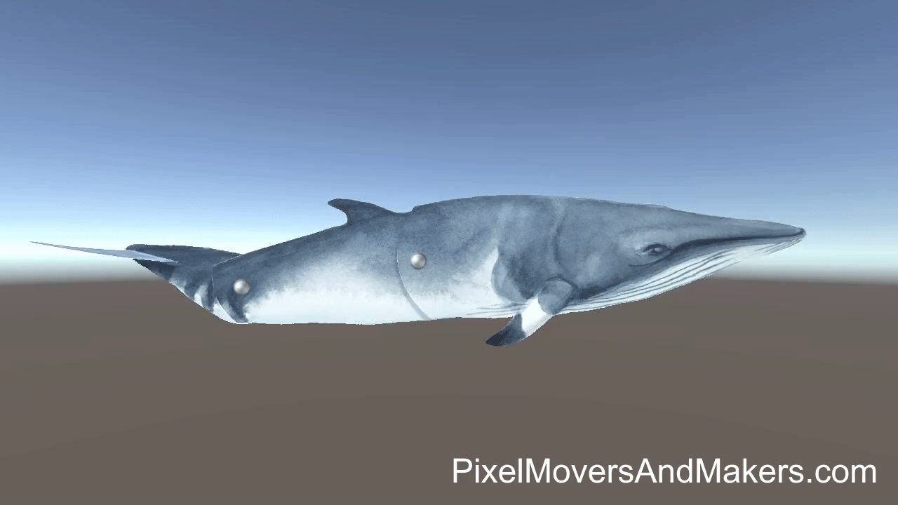 Minke05.gif