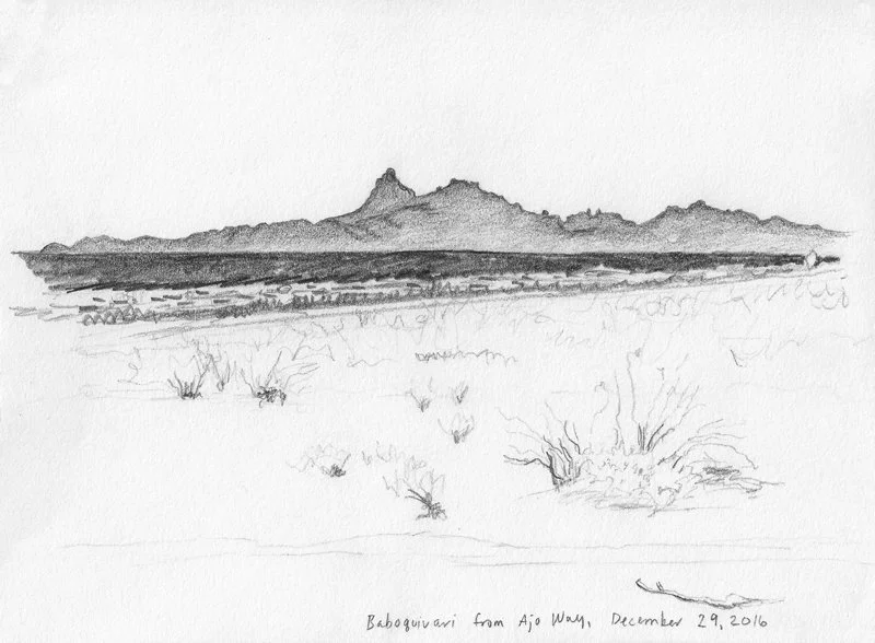 Baboquivari from Ajo Way Dec 29 2016_800.jpg