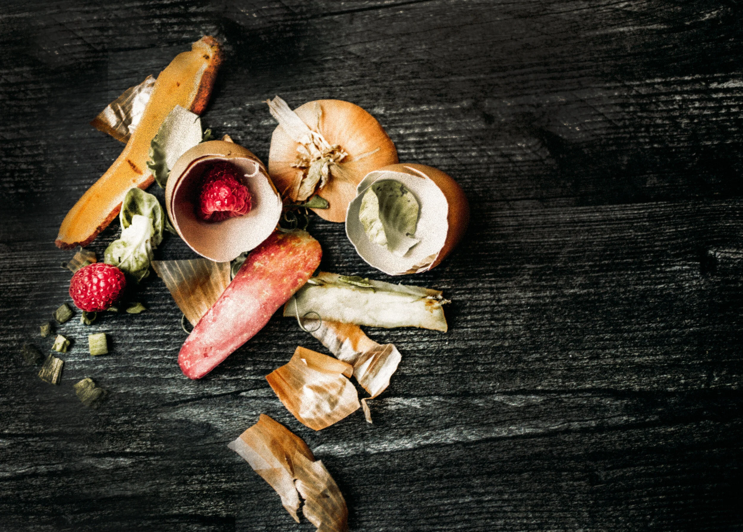 FoodPiece-0988 copy 2.jpeg