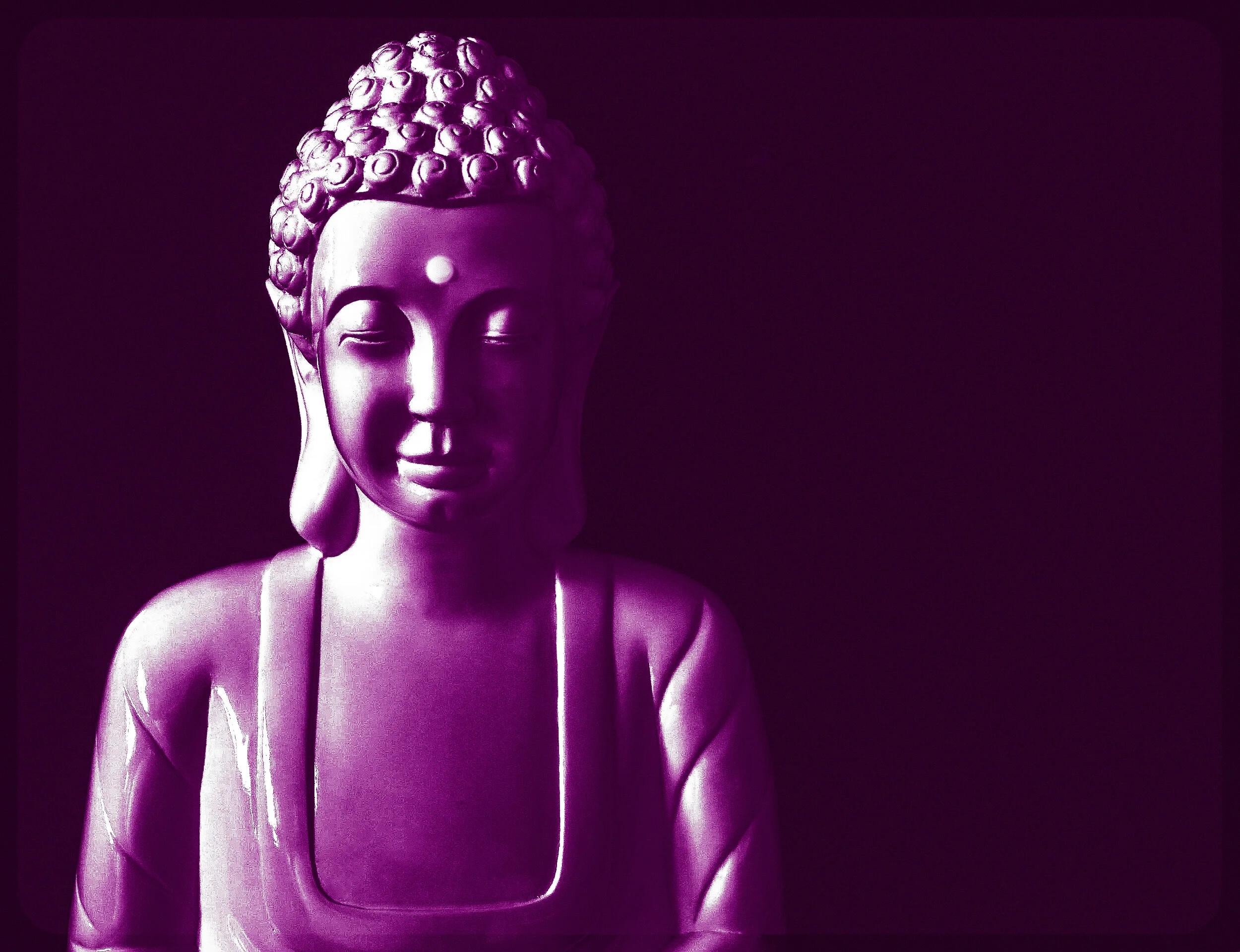 BuddhaRetroPurple1-.jpg