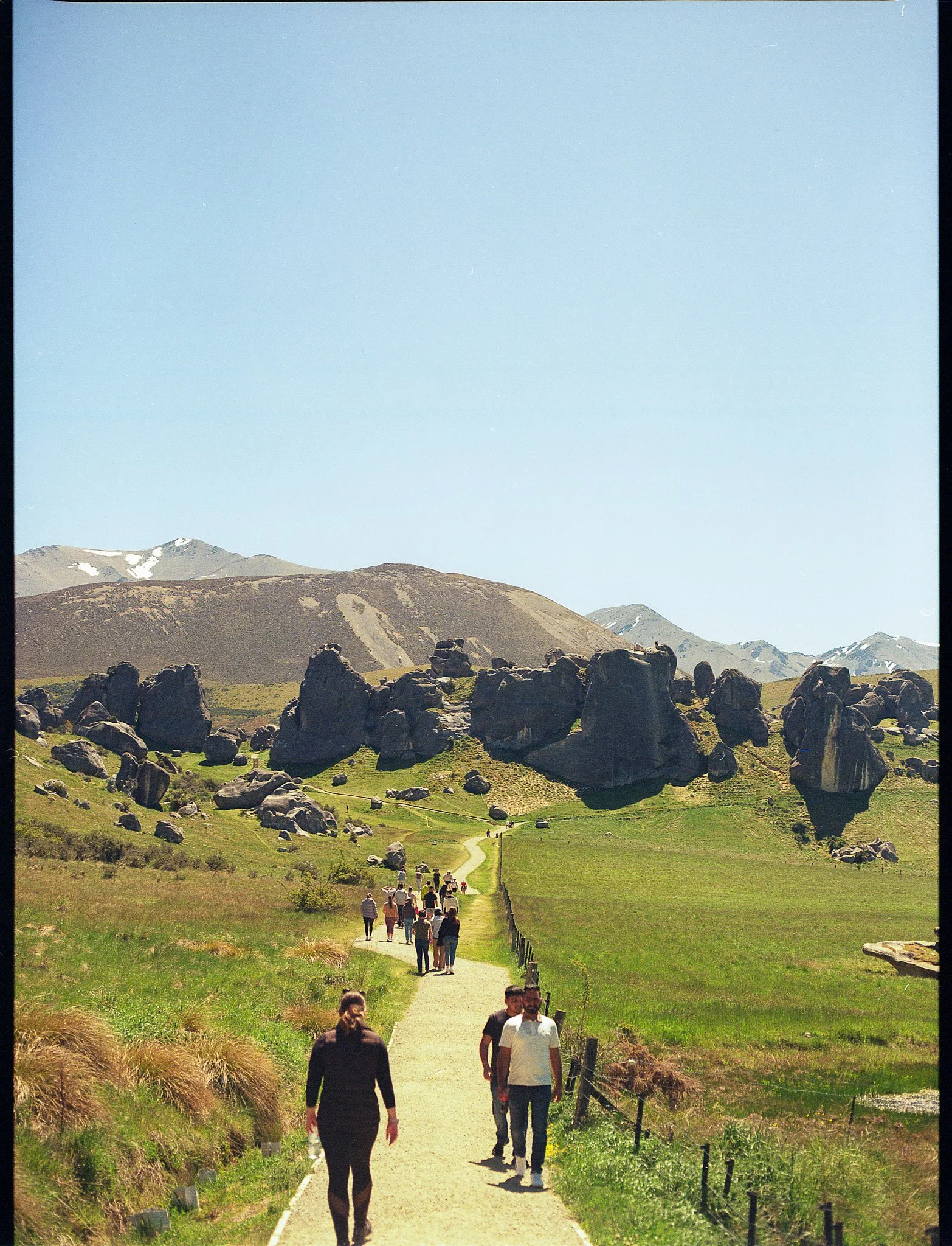 NZ19.jpg