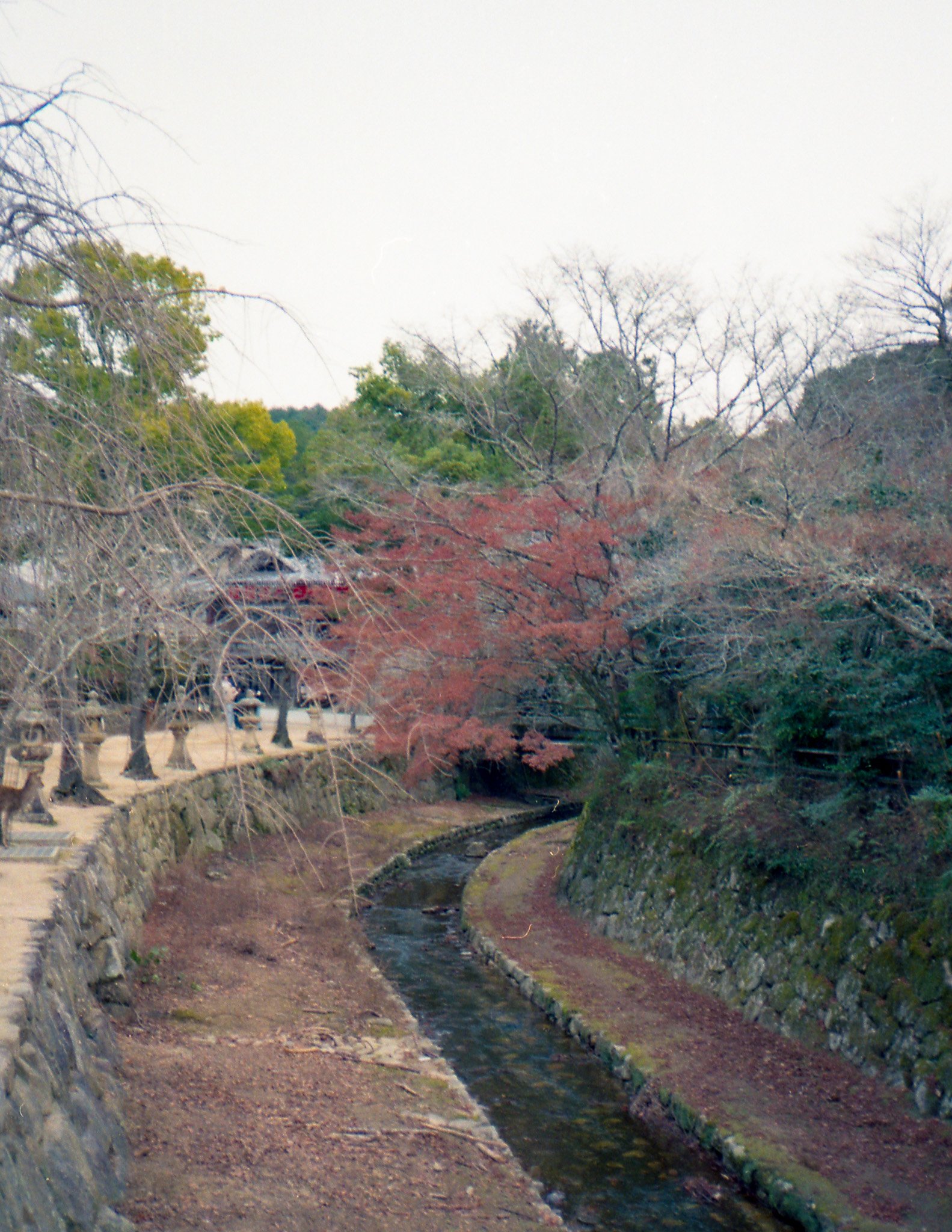 Jan03.jpg