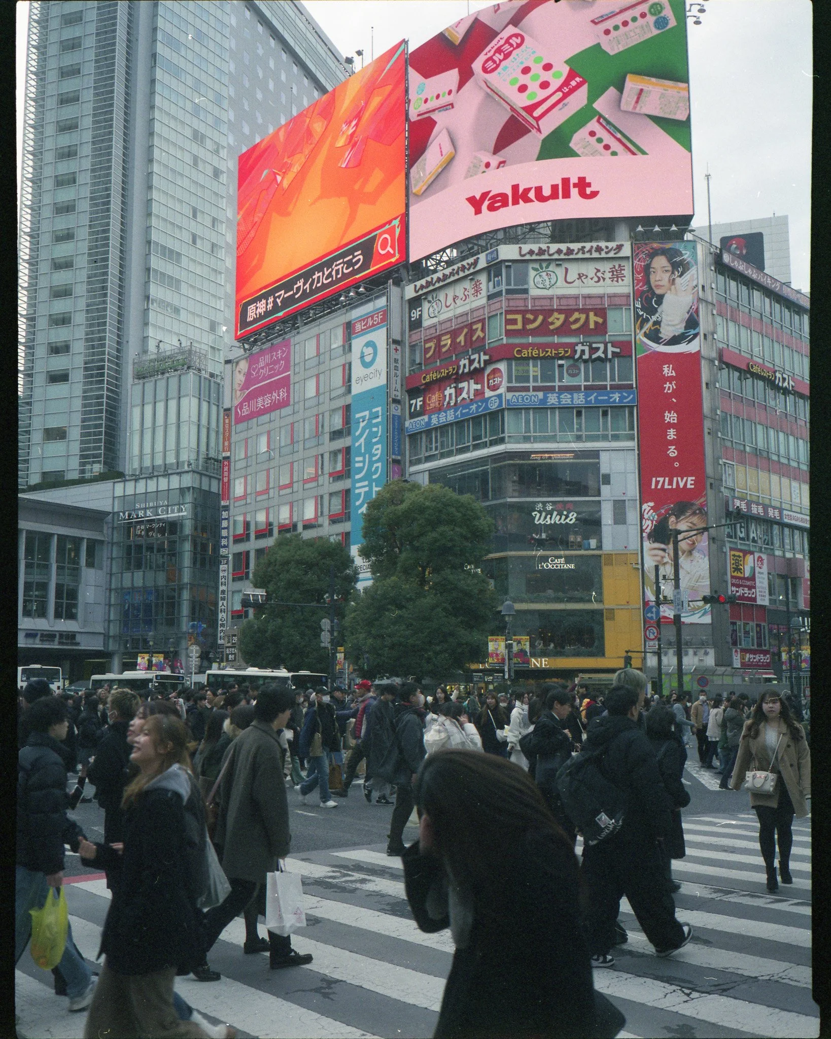Jan41.jpg