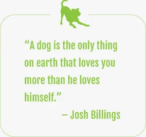 quote1.jpg