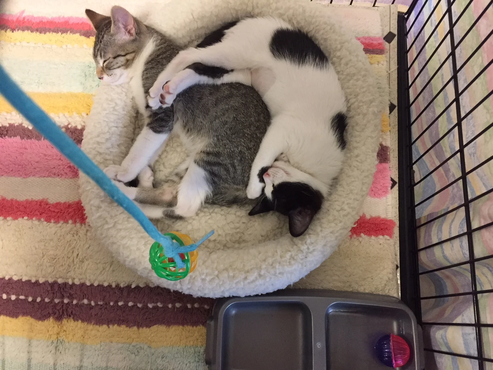 First Picture of Colby and Jacqueline