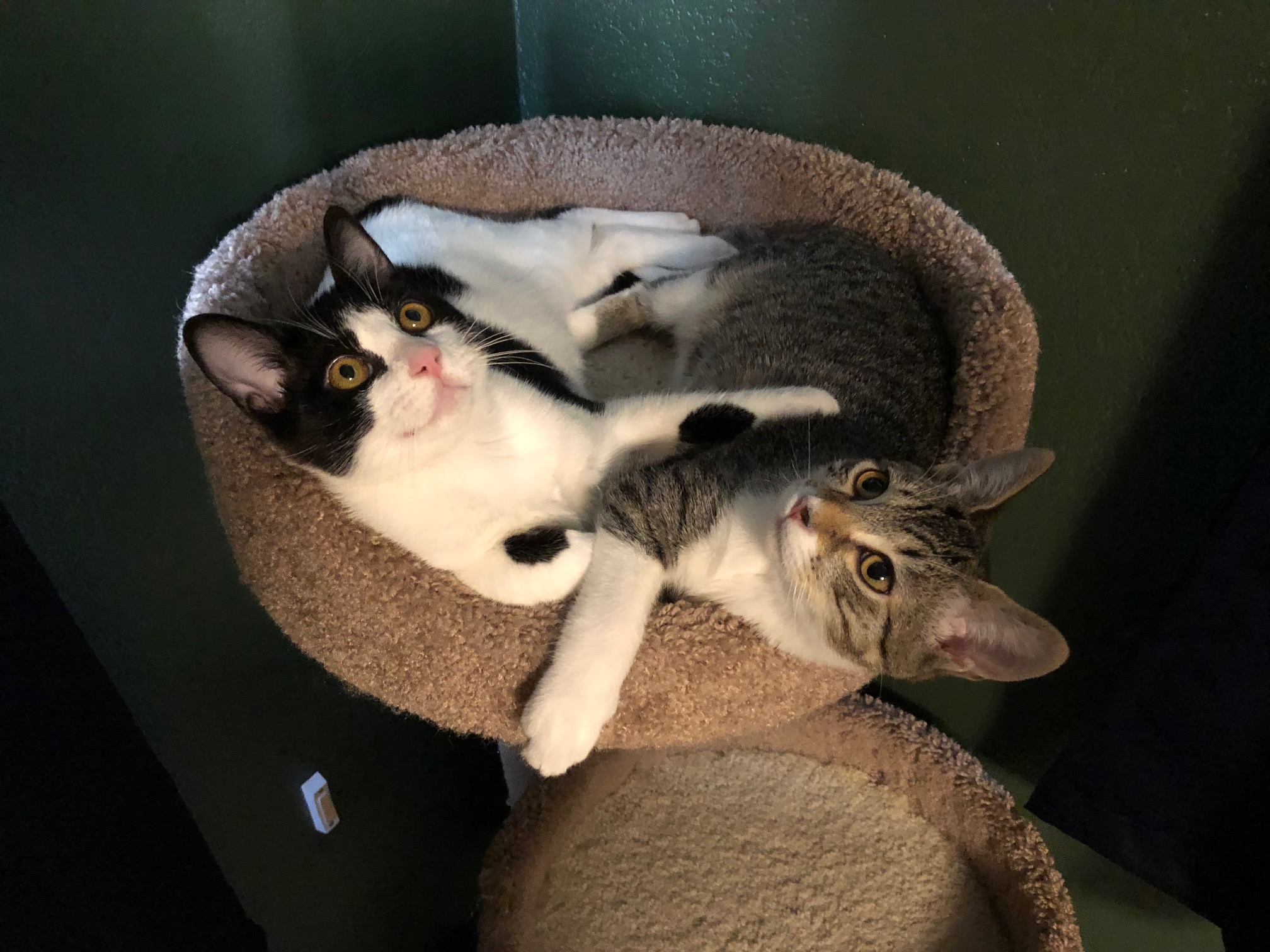 Jackie_and_Colby.jpeg