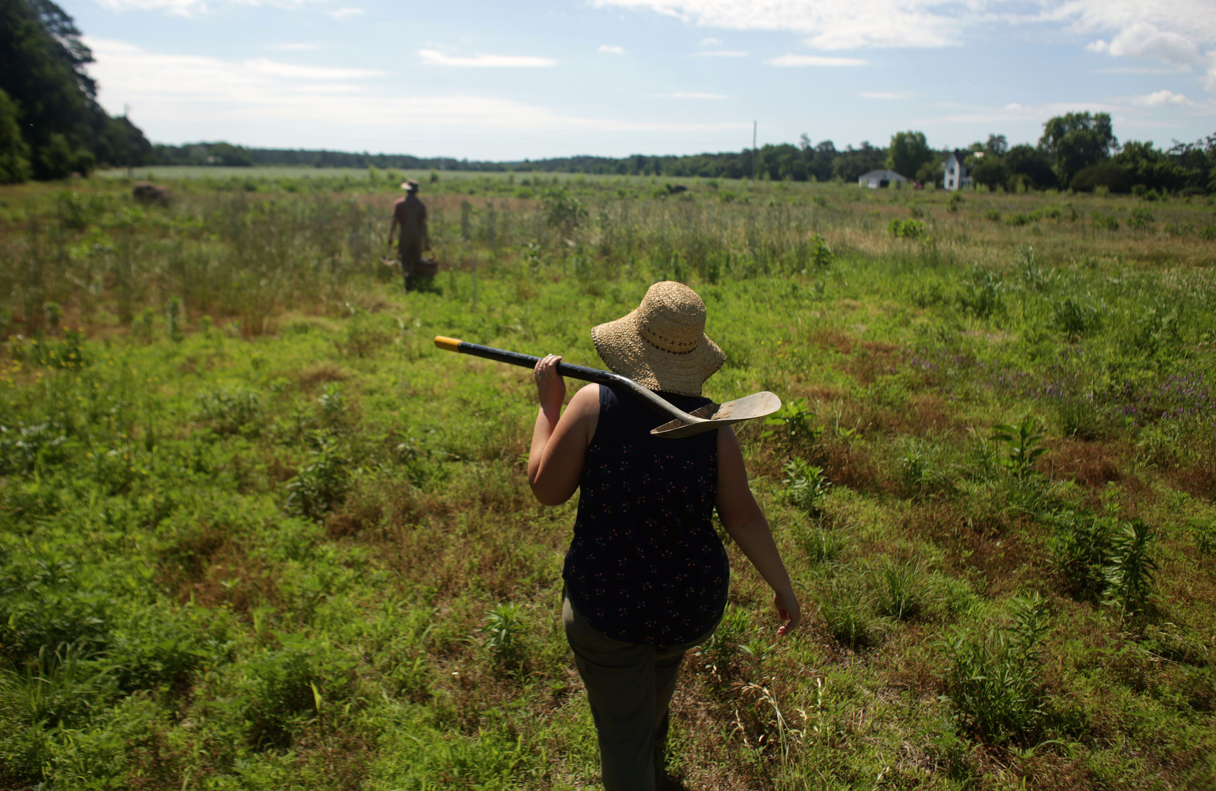 vc dbdwbiodynamic010718__001.JPG