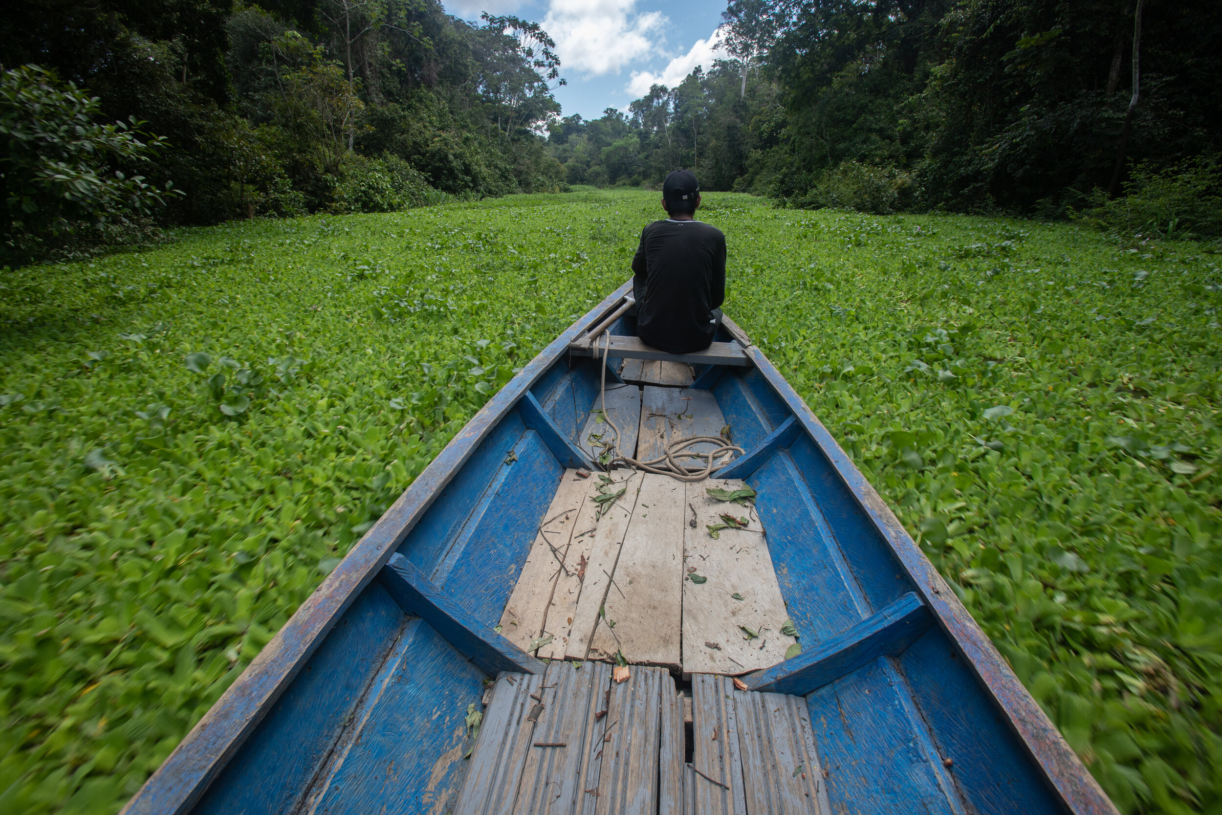 Amazon River Boat Photography
