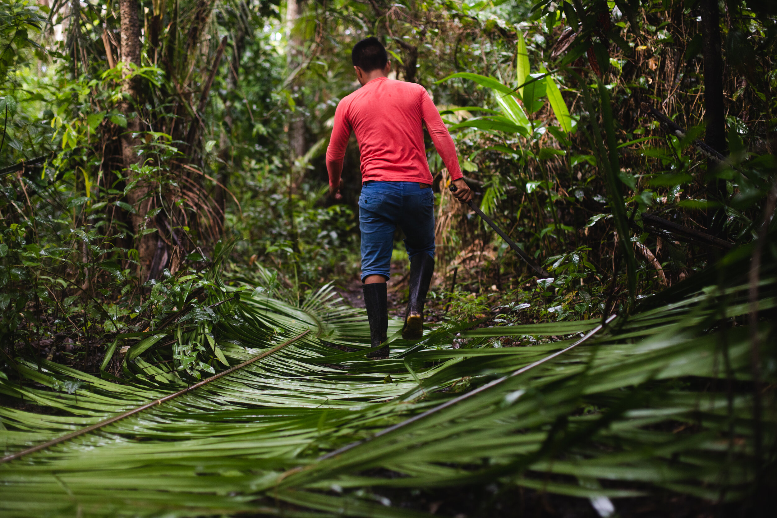 Camping in the Amazon Rainforest