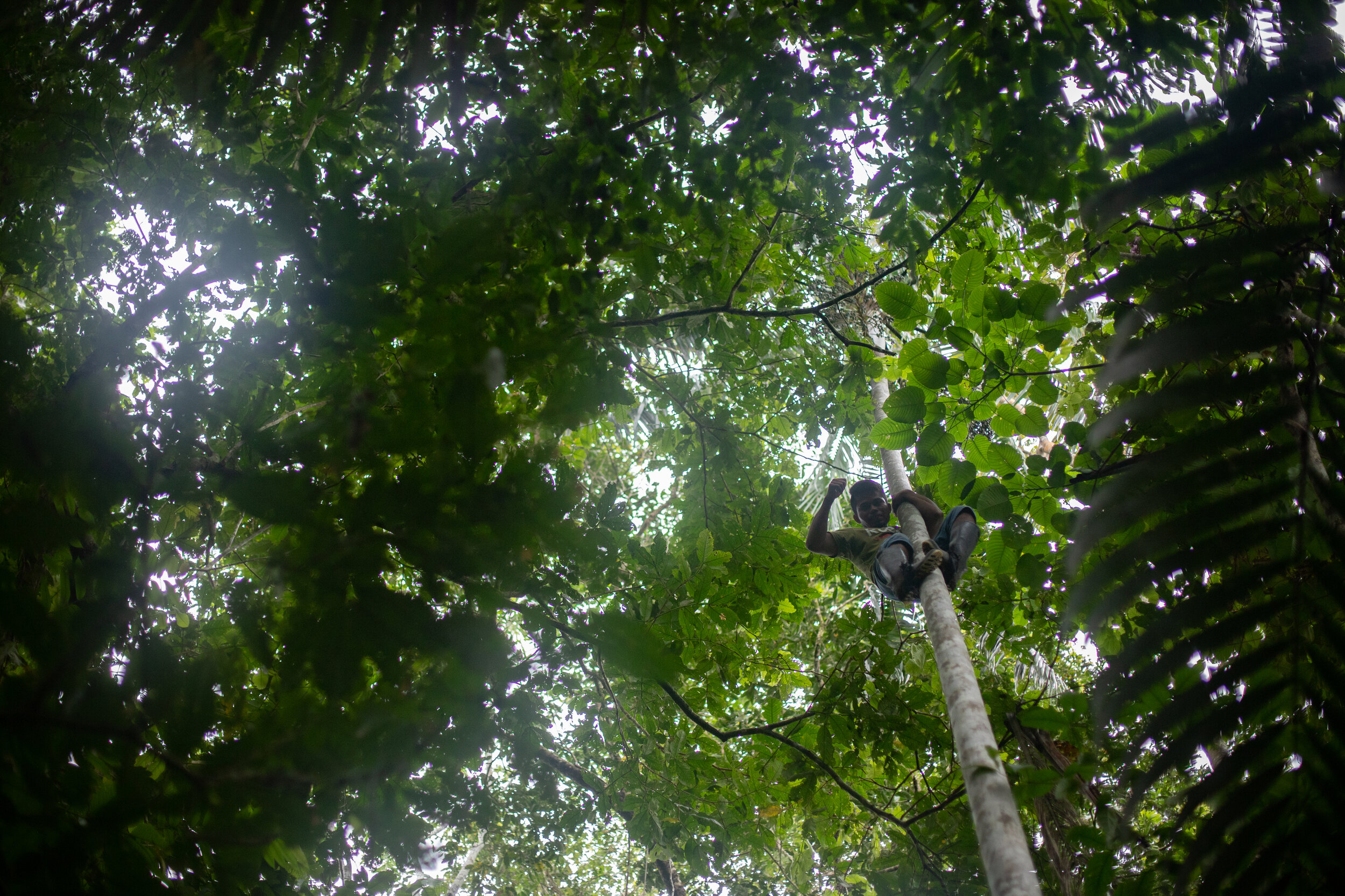 Amazon Local- George of the Jungle